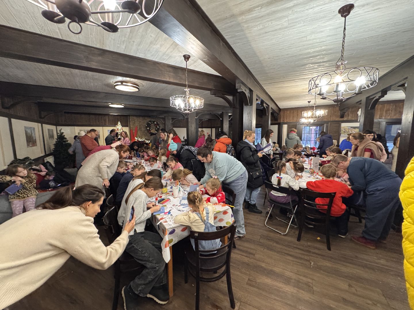 Одинцовский парк, зима в подмосковье, вертикалка, вертикальное видео