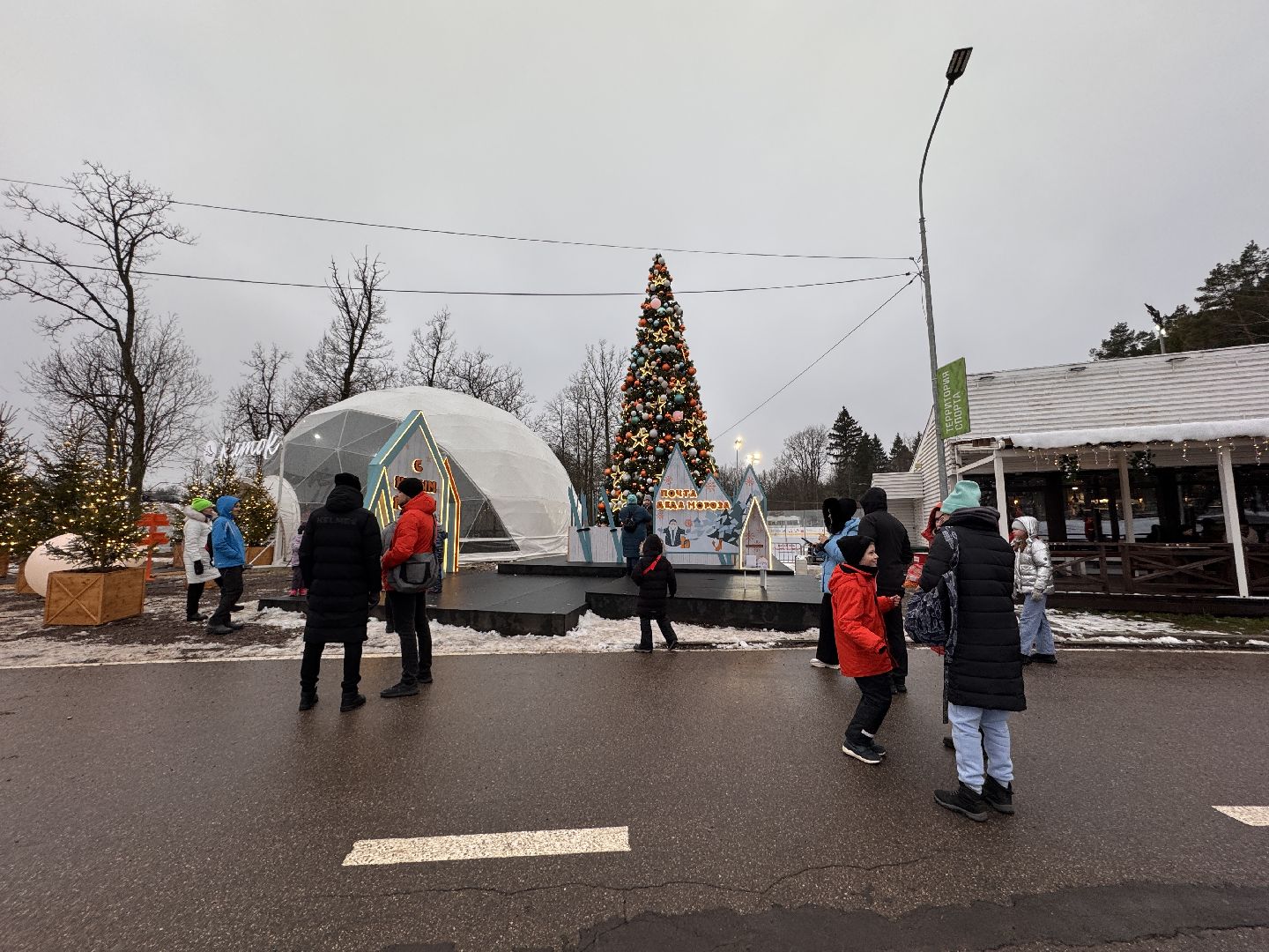 Одинцовский парк, зима в подмосковье, вертикалка, вертикальное видео