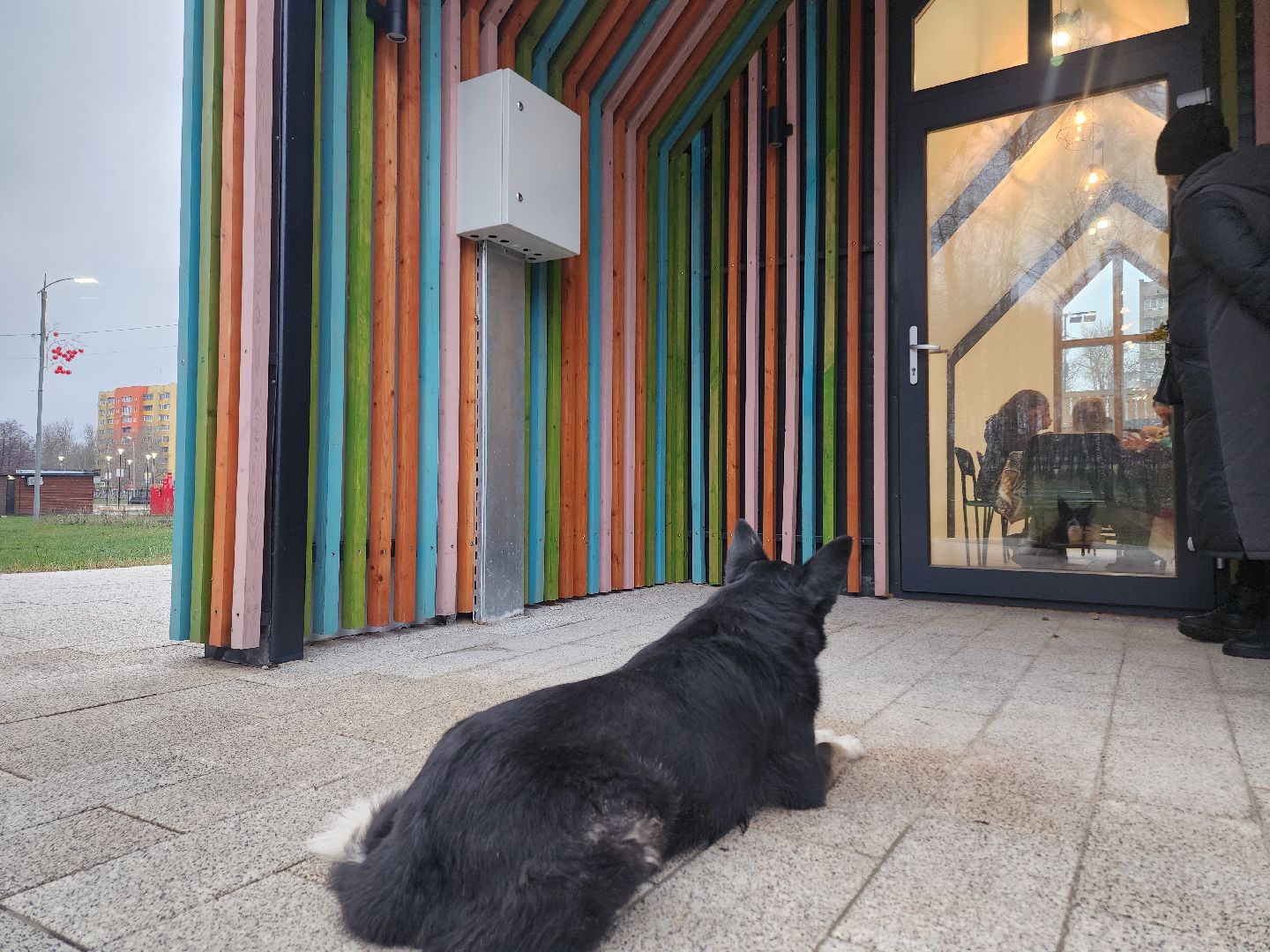 зима в подмосковье, Егорьевск, Подмосковье, Московская область,вертикалка, вертикальное видео,