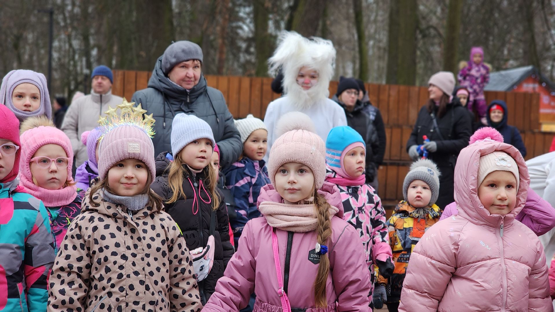 зимний сезон, зима в Подмосковье, парки Подмосковья, Лосино-Петровский, вертикалки,