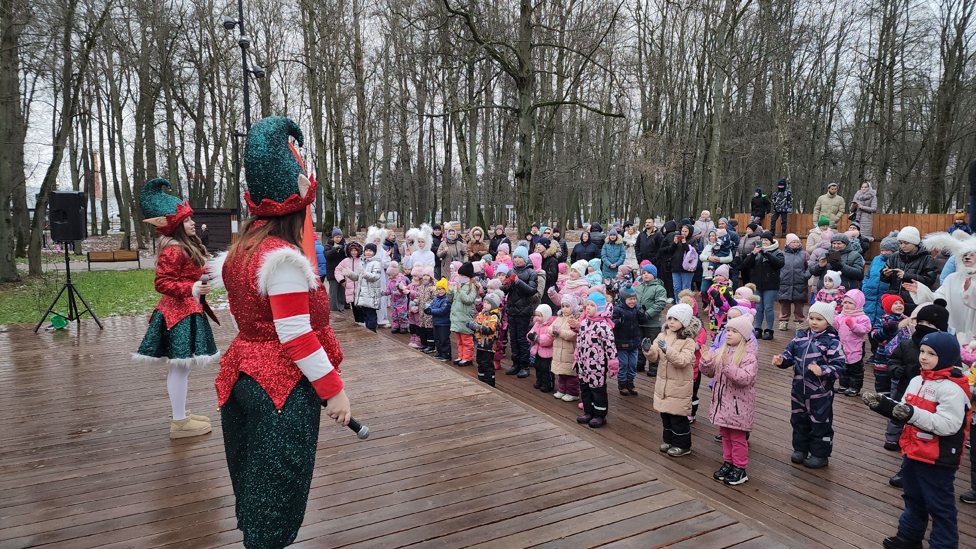 зимний сезон, зима в Подмосковье, парки Подмосковья, Лосино-Петровский, вертикалки,