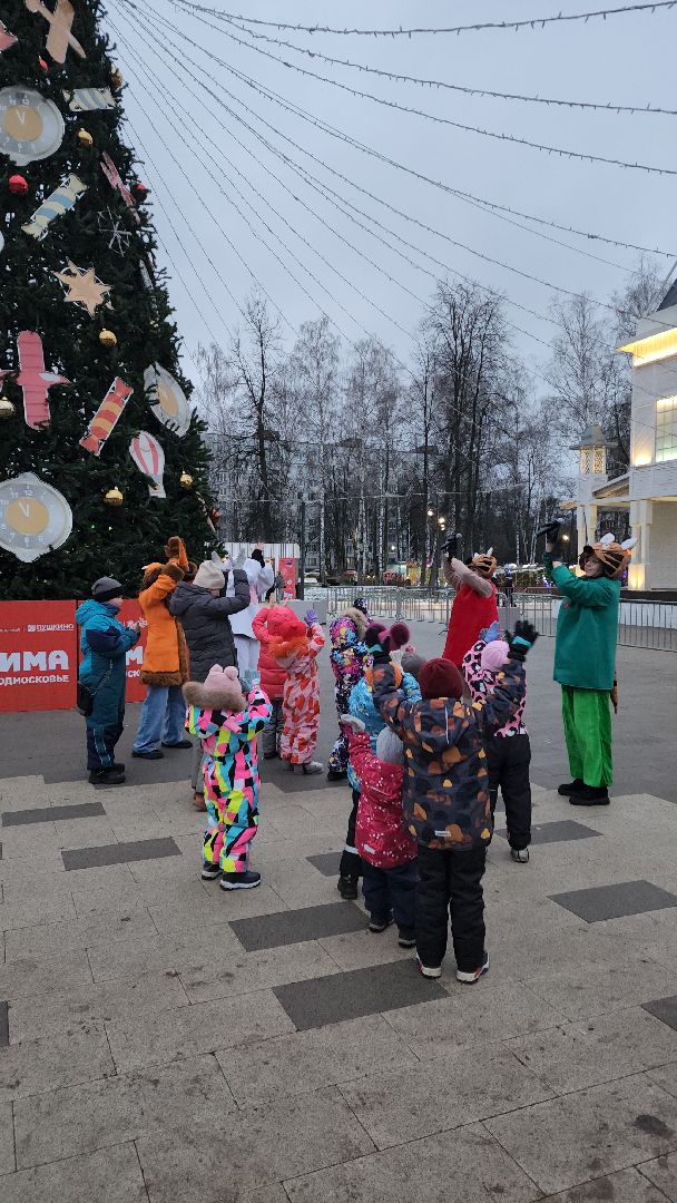 вертикалки, пушкино, анимация, дети, праздник, ёлка, дети и родители, песни, танцы,