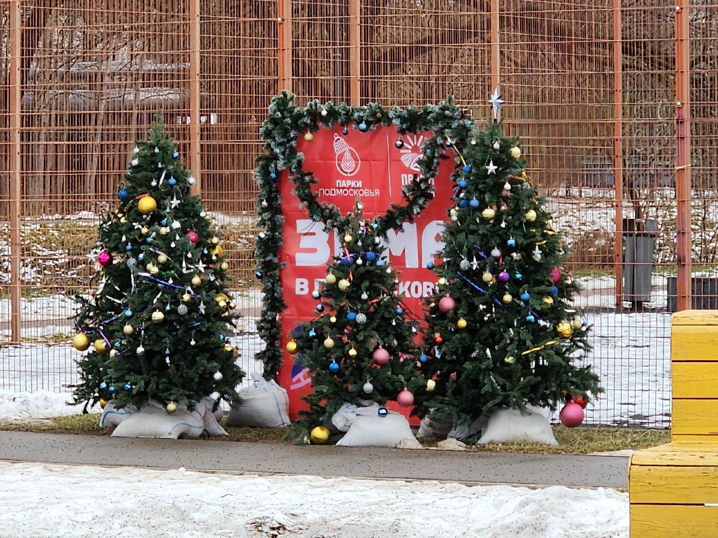 вертикалки, мастер-класс,парк, зима в подмосковье,