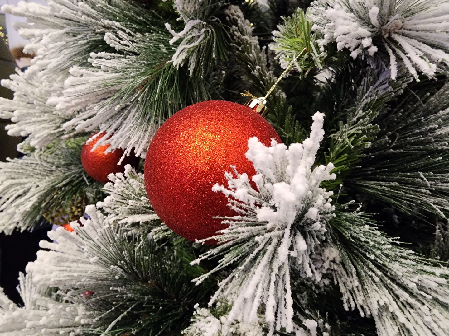 вертикалки, мытищи, резиденция деда мороза,