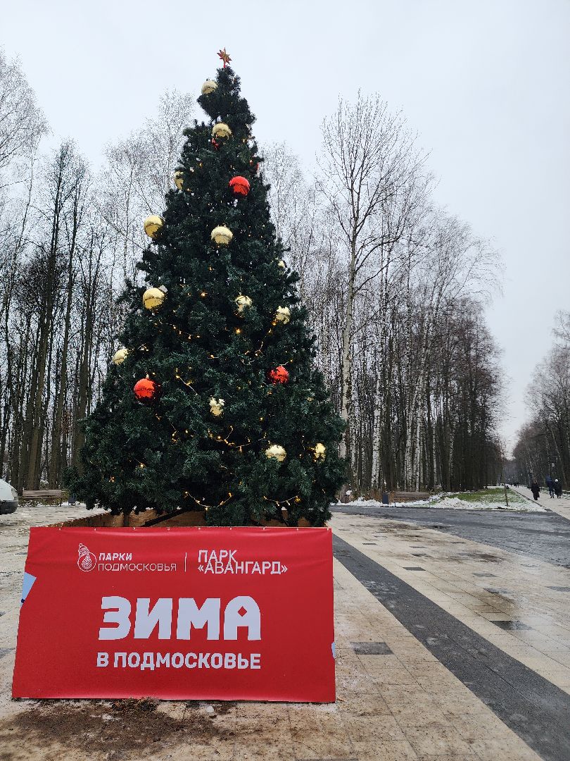 вертикалка, вертикальное видео, электросталь, зимний сезон, зима 2024-2025, дед мороз, дед мороз и снегурочка, открытие зимнего сезона,