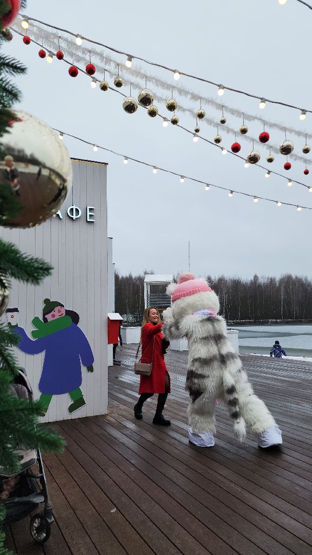 вертикалка, вертикальное видео, электросталь, зимний сезон, зима 2024-2025, дед мороз, дед мороз и снегурочка, открытие зимнего сезона,