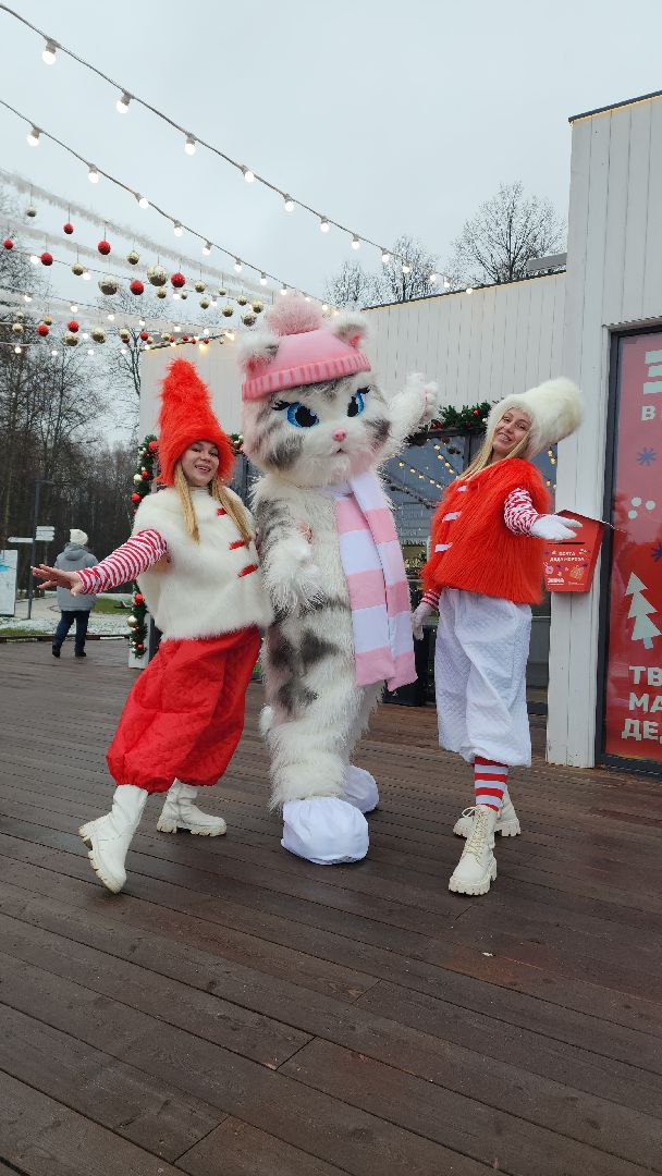 вертикалка, вертикальное видео, электросталь, зимний сезон, зима 2024-2025, дед мороз, дед мороз и снегурочка, открытие зимнего сезона,