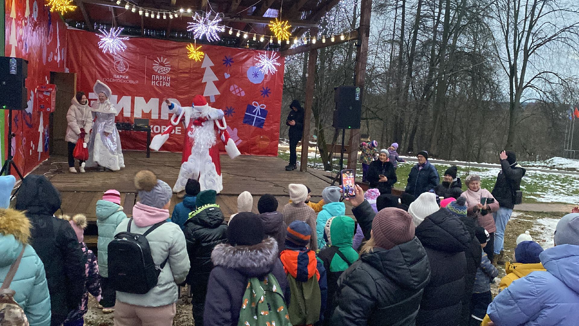 Праздник, парк, вертикалкизима в подмосковье,