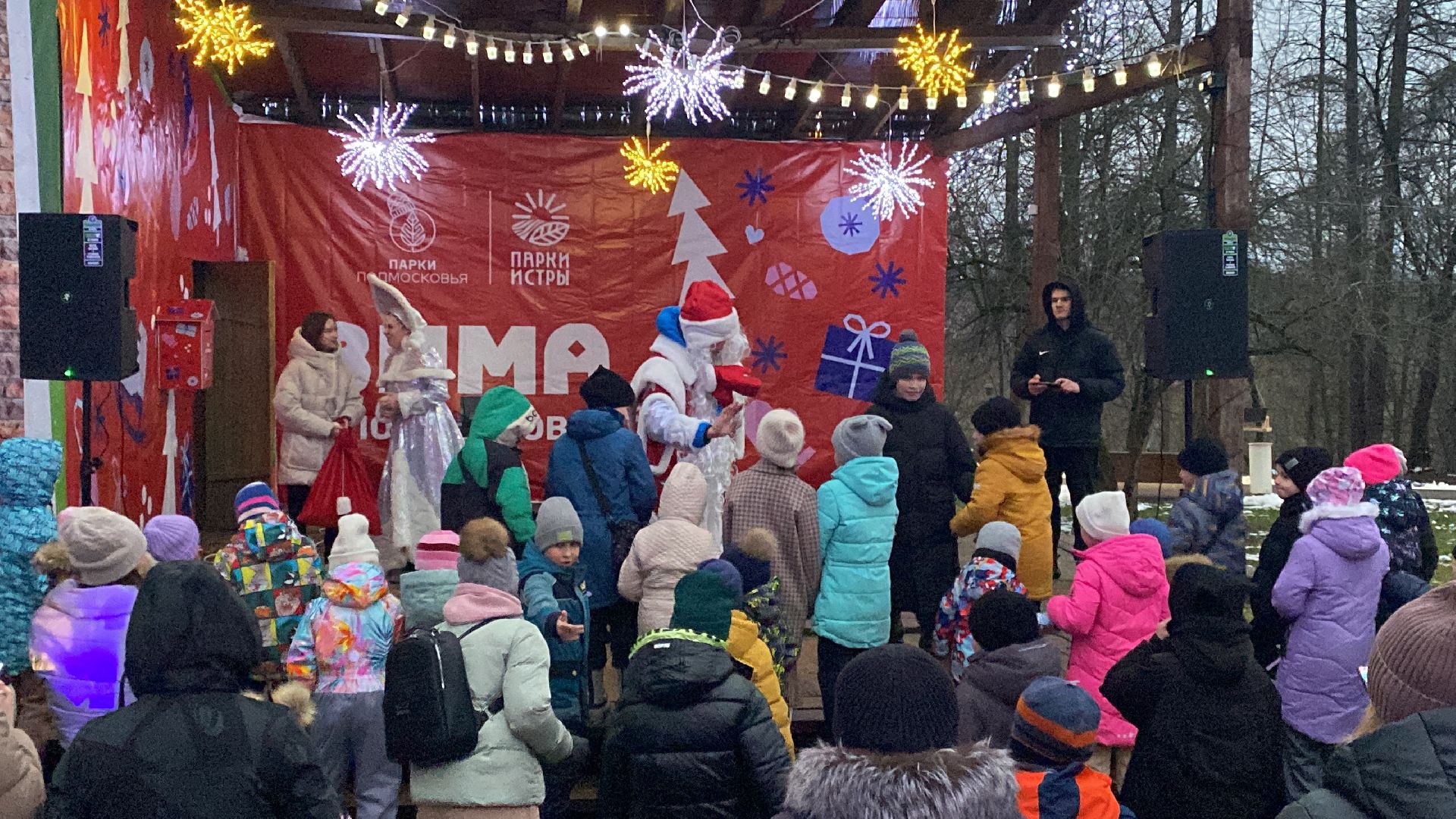 Праздник, парк, вертикалкизима в подмосковье,