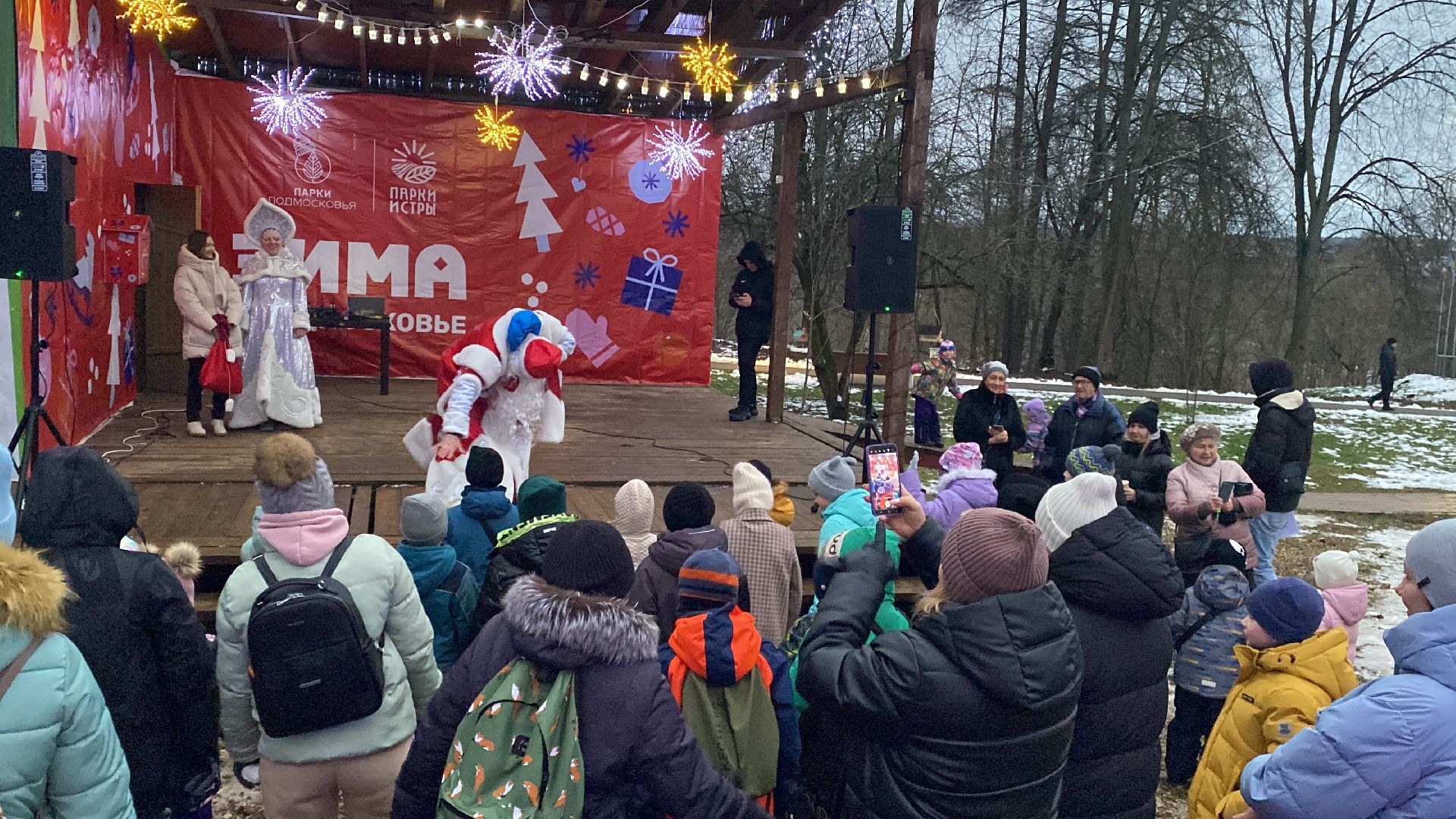 Праздник, парк, вертикалкизима в подмосковье,