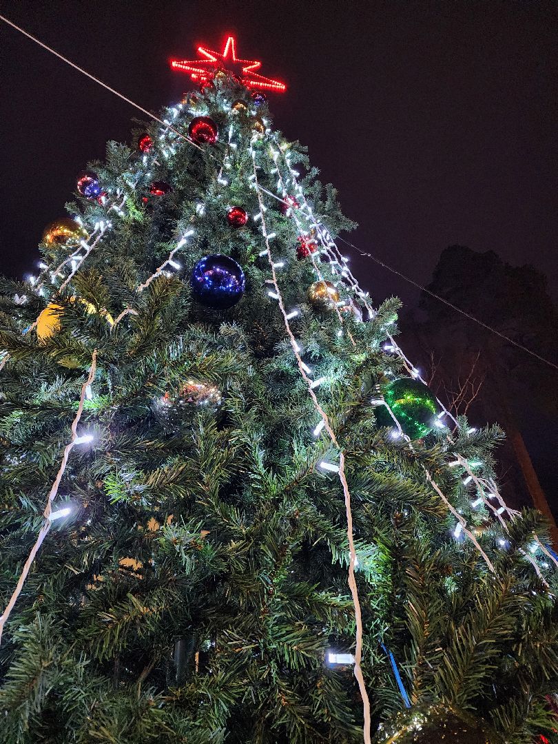 шатура, зима 2024, зима в парках, праздник, парки подмосковья, зима в подмосковье, вертикалки,