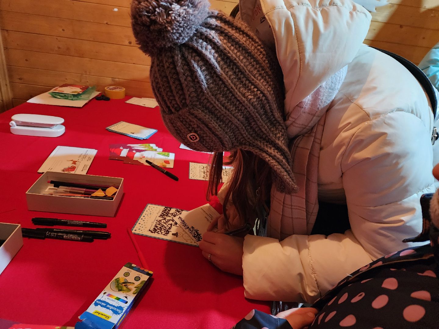 шатура, зима 2024, зима в парках, праздник, парки подмосковья, зима в подмосковье, вертикалки,