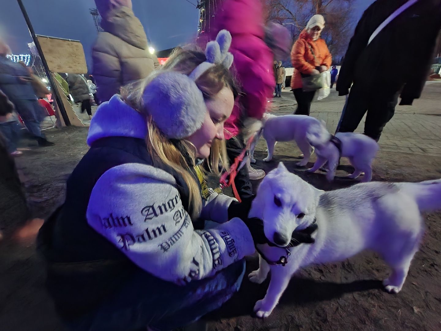 шатура, зима 2024, зима в парках, праздник, парки подмосковья, зима в подмосковье, вертикалки,