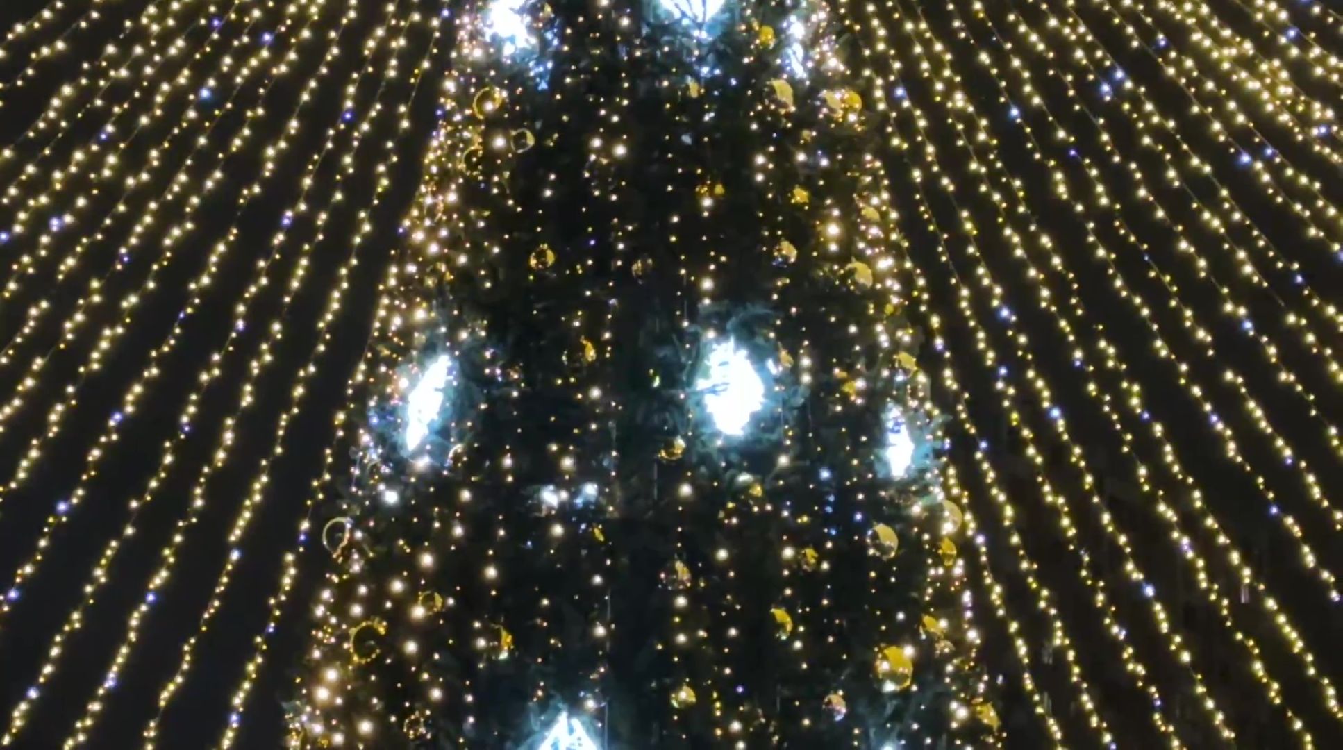 Реутов, вертикалки, зажжение елки, елочка гори, огни, новый год, сказочные персонажи, Дед Мороз,