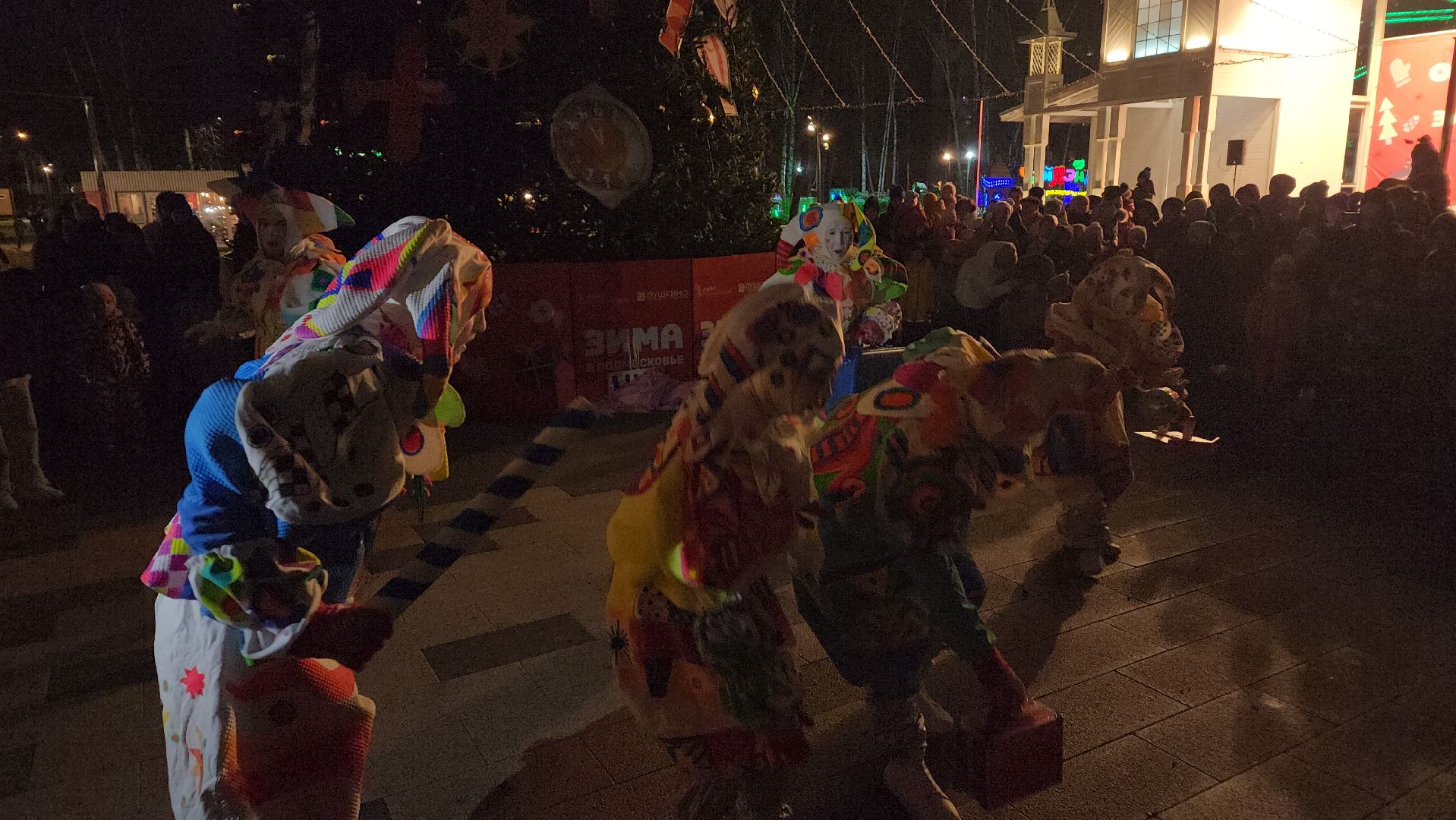 вертикалки, пушкино, центральный парк, зима в подмосковье, концерт, шоу, зрители, театр,