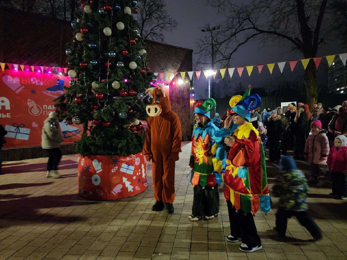Солнечногорск, Жители, первый день зимы, зимний сезон, праздник, вертикалки,