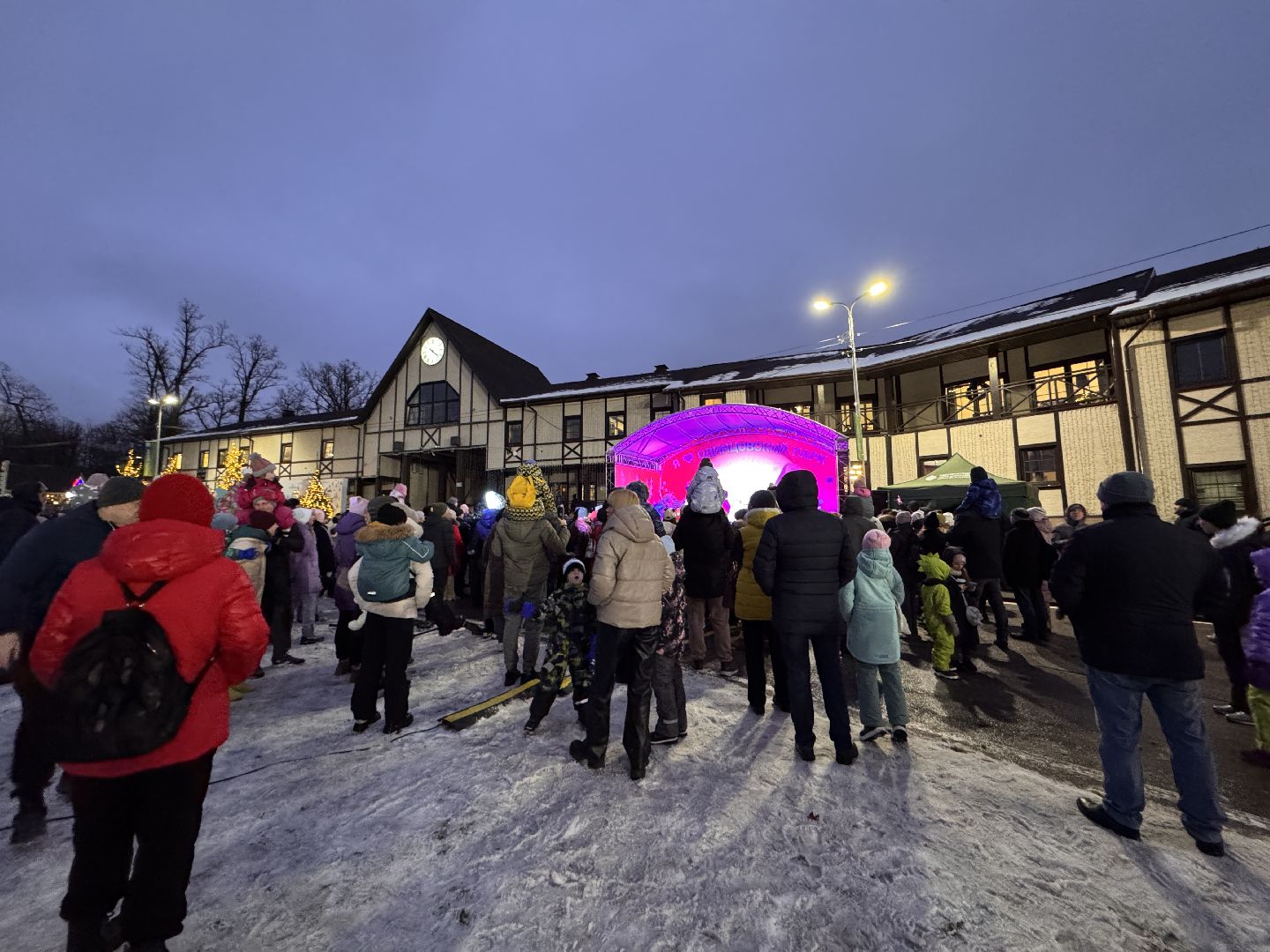 зима в подмосковье, Одинцовский парк, Вертикалка, Главная елка Одинцова, вертикальное видео,