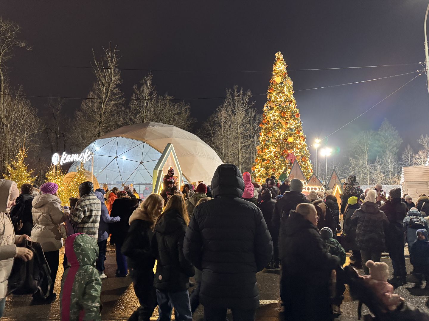 зима в подмосковье, Одинцовский парк, Вертикалка, Главная елка Одинцова, вертикальное видео,