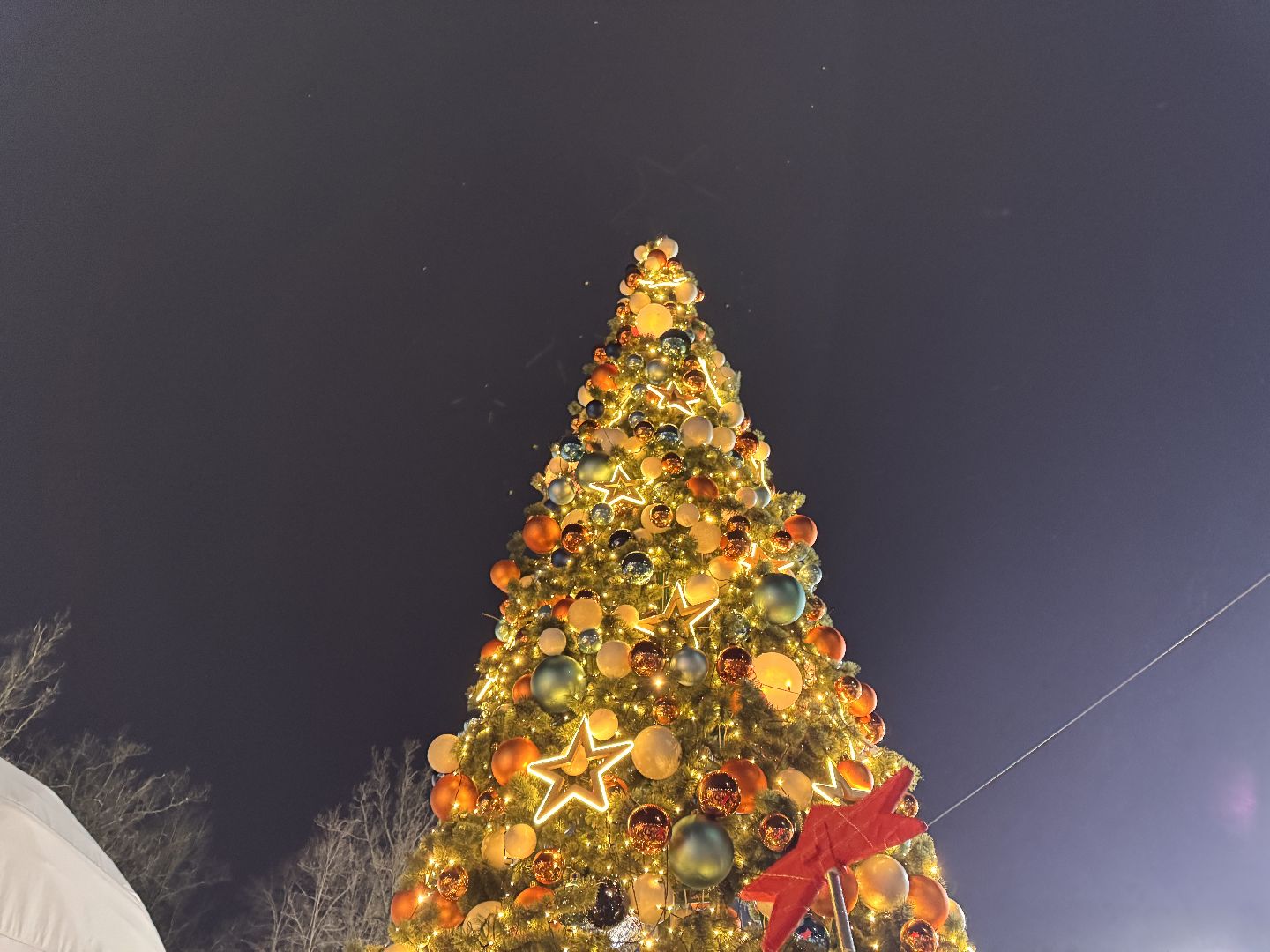 зима в подмосковье, Одинцовский парк, Вертикалка, Главная елка Одинцова, вертикальное видео,