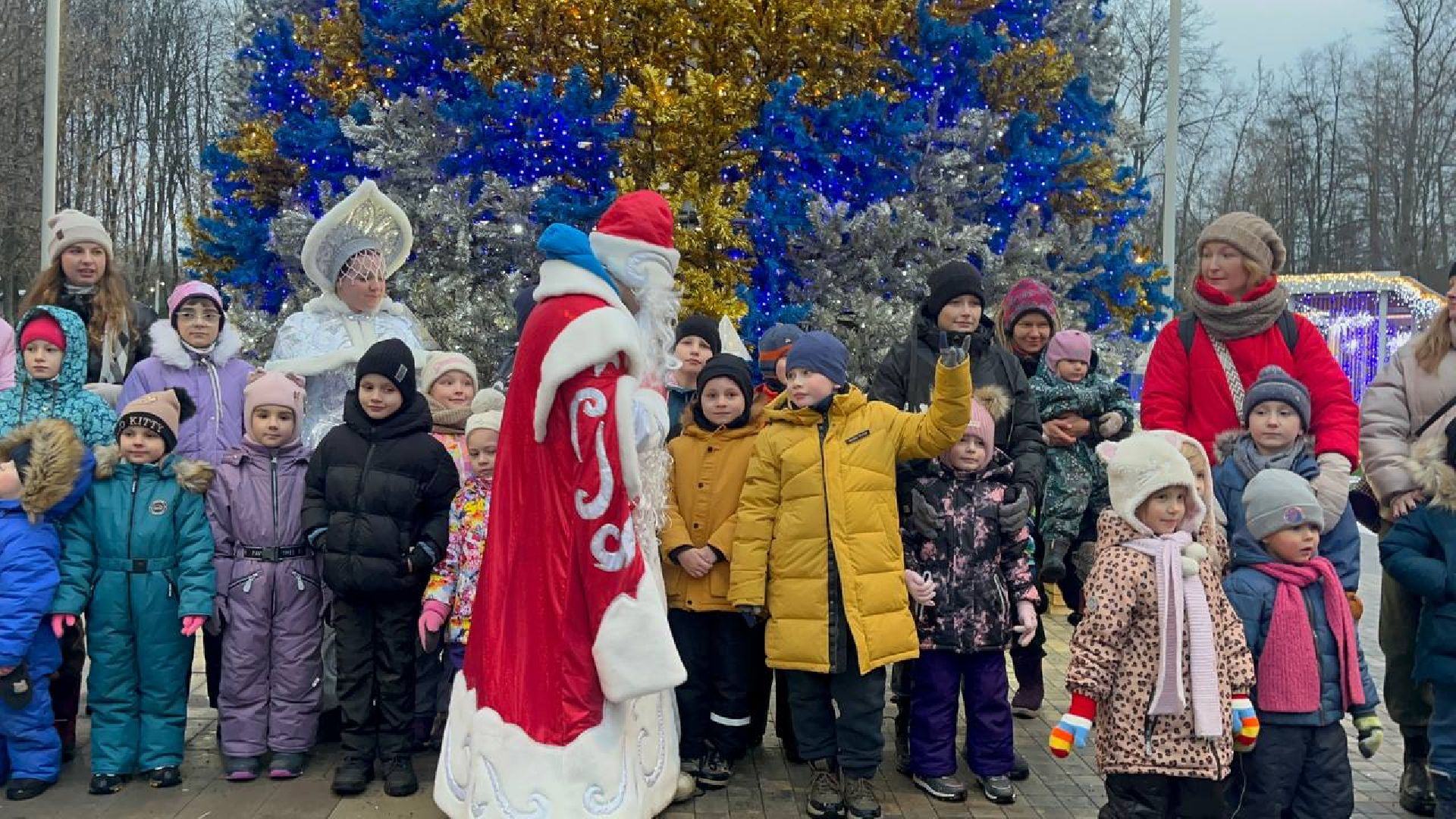 Парк, Праздник, вертикалки,зима в подмосковье,