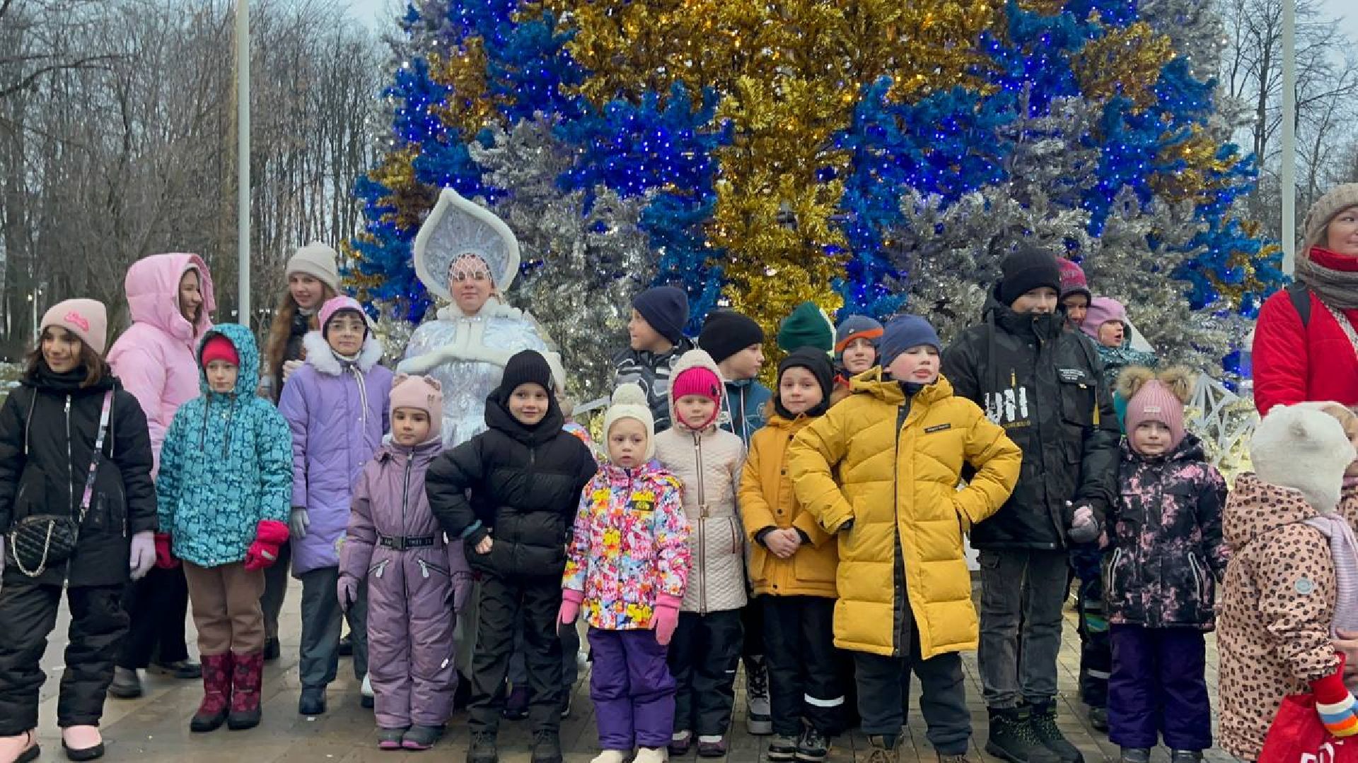 Парк, Праздник, вертикалки,зима в подмосковье,