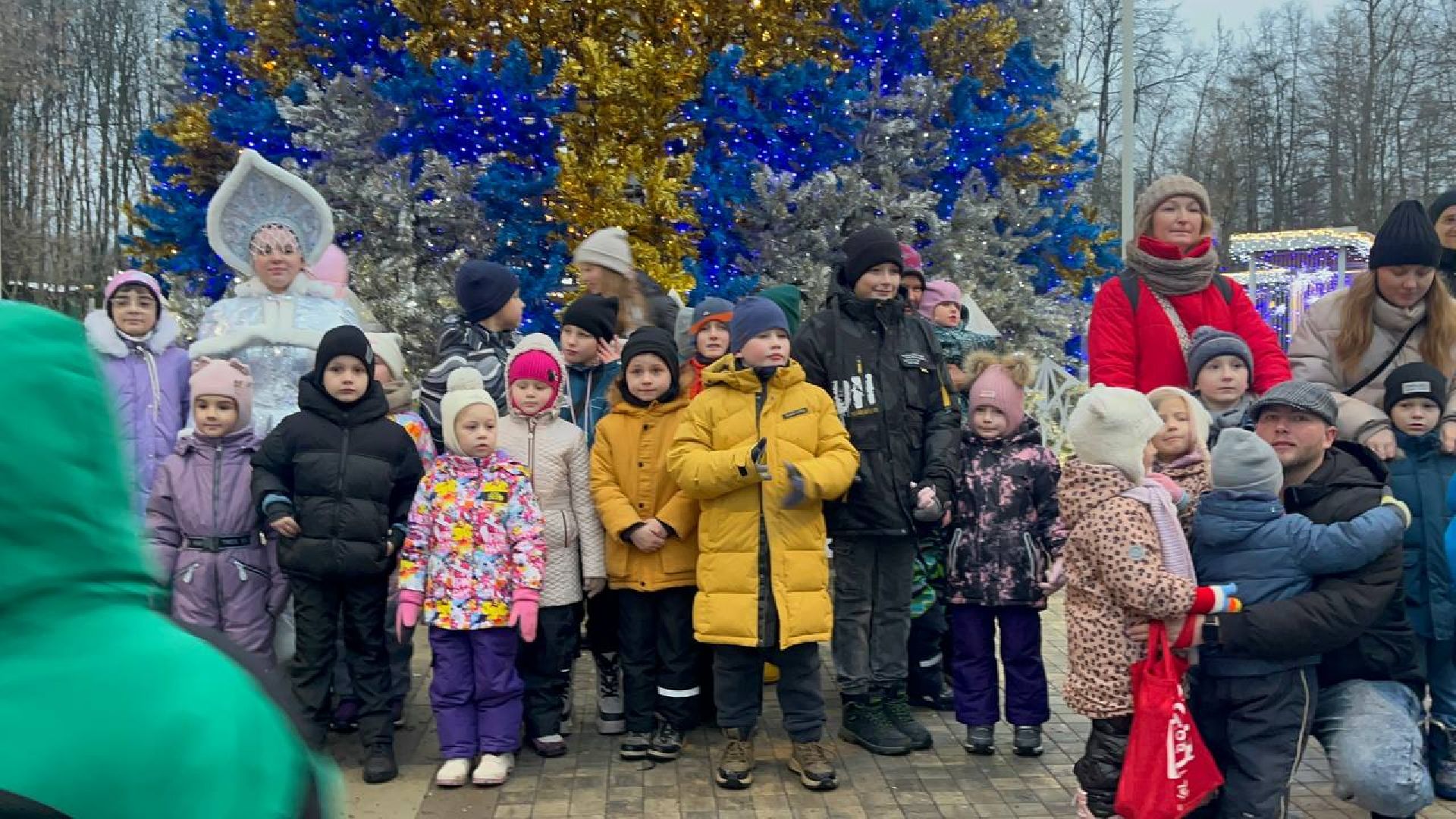 Парк, Праздник, вертикалки,зима в подмосковье,