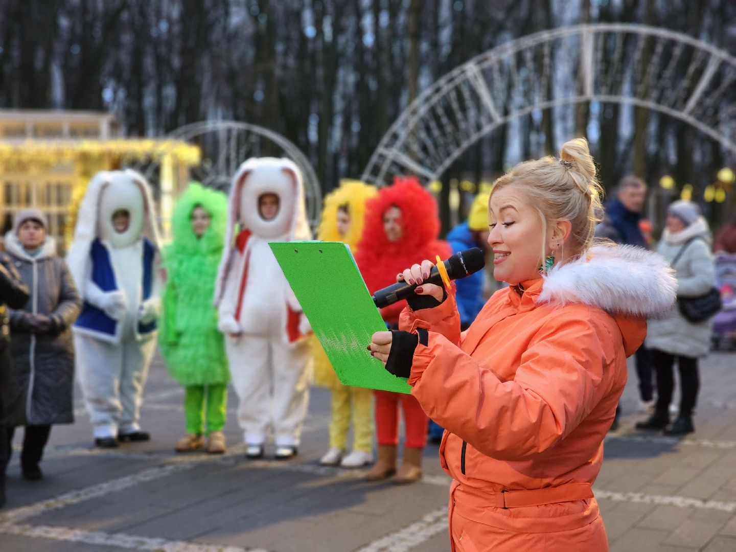 воскресенск, зимний сезон, зима в подмосковье, парк кривякино, вертикалки,
