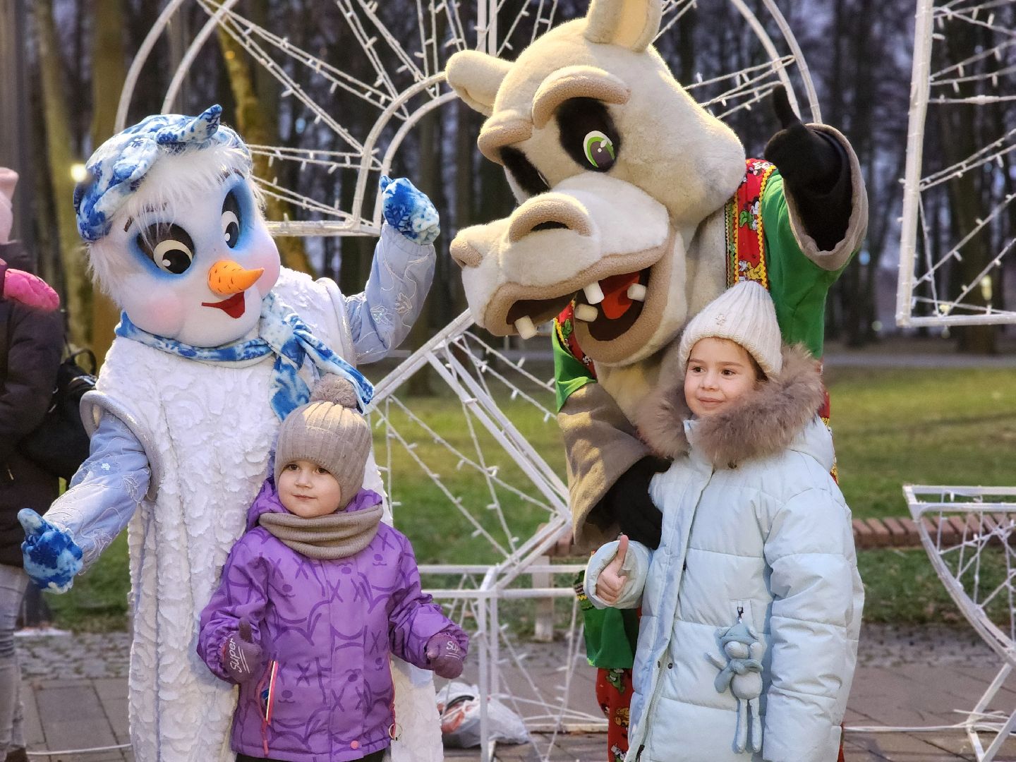 воскресенск, зимний сезон, зима в подмосковье, парк кривякино, вертикалки,