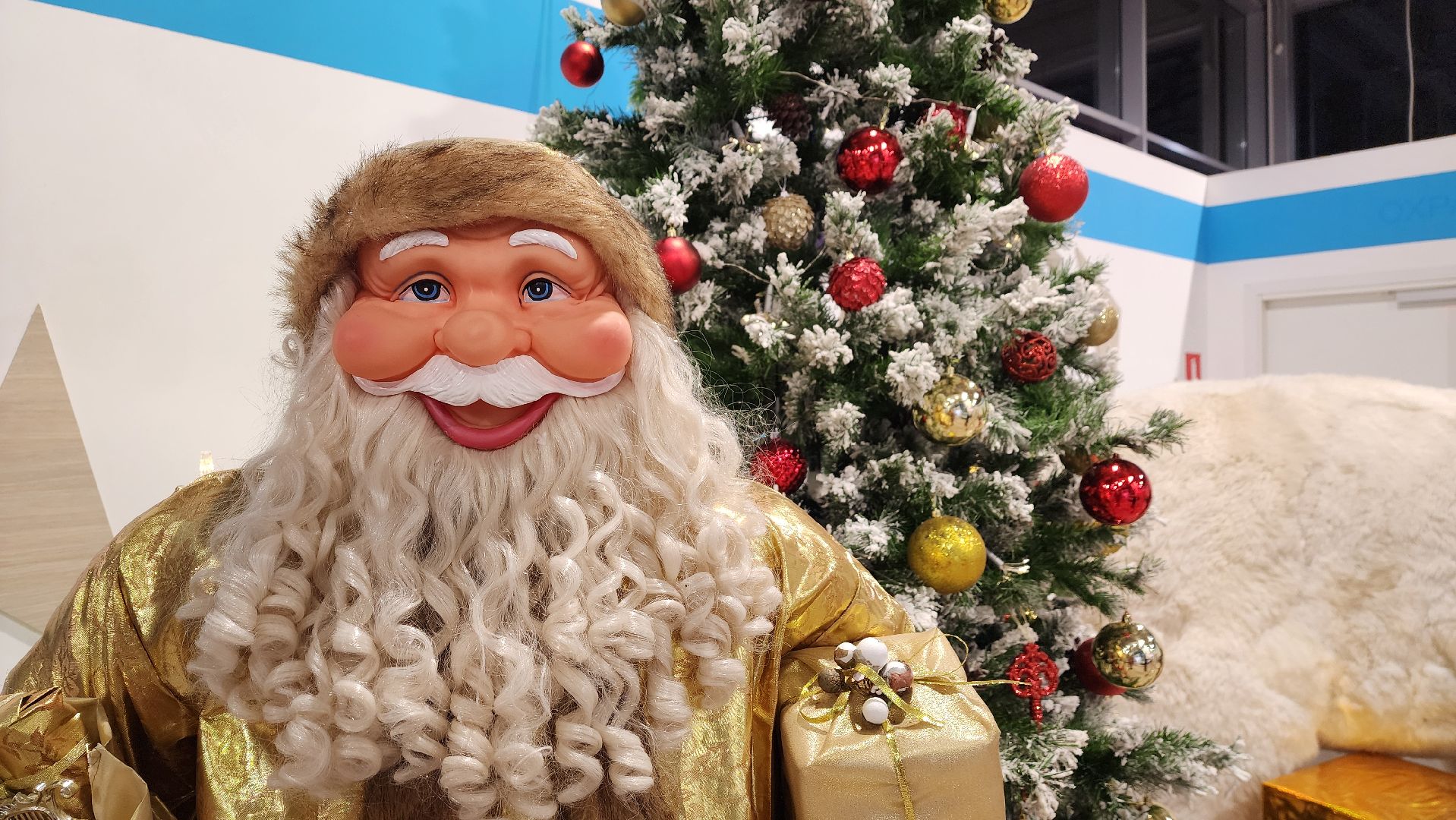 Химки, почта деда мороза, вертикалки, зима в парке, зима в подмосковье, парк толстого,