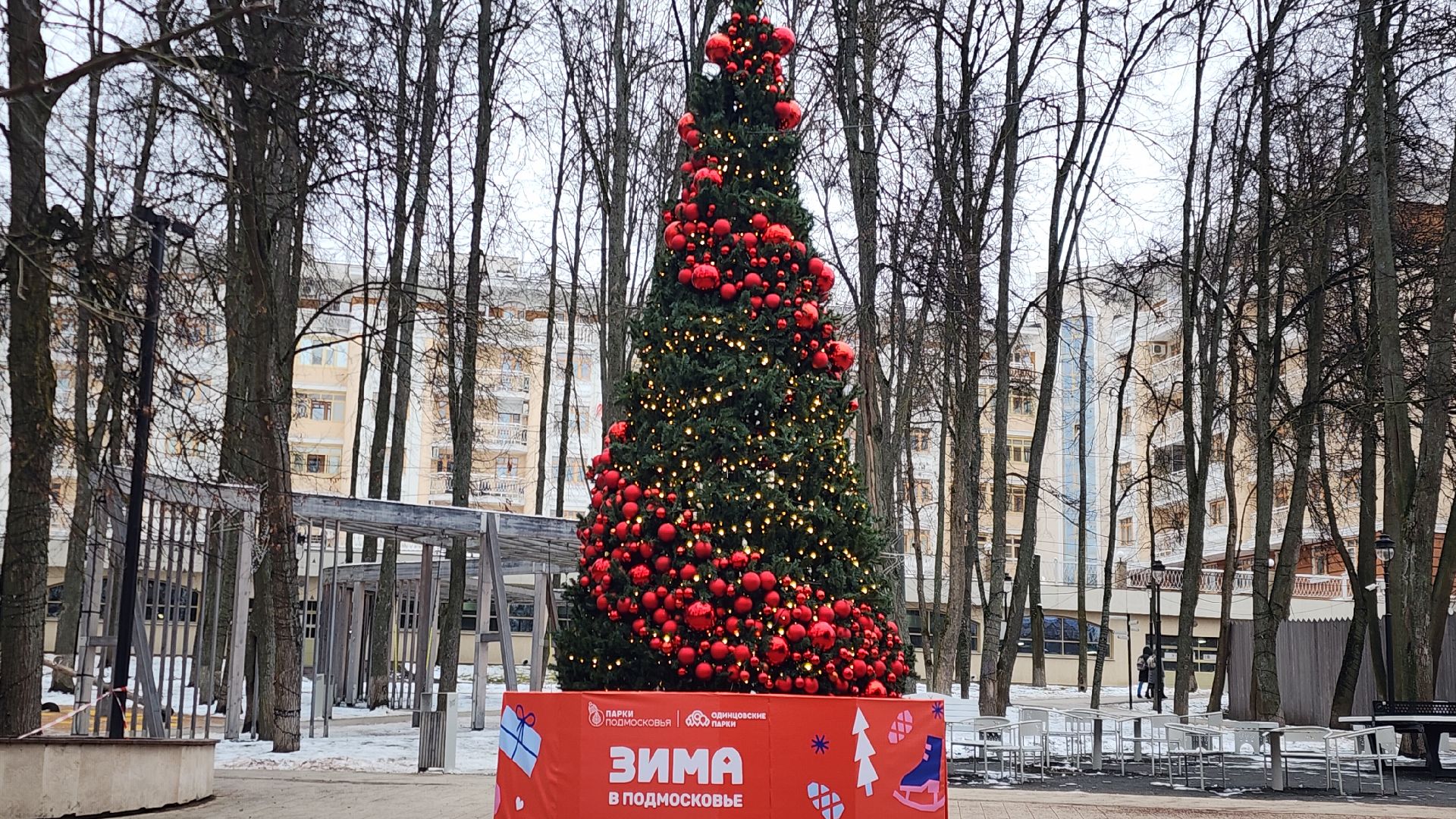 Звенигород, Туризм, Зима в Подмосковье, зимние забавы, вертикалка, вертикальное видео,