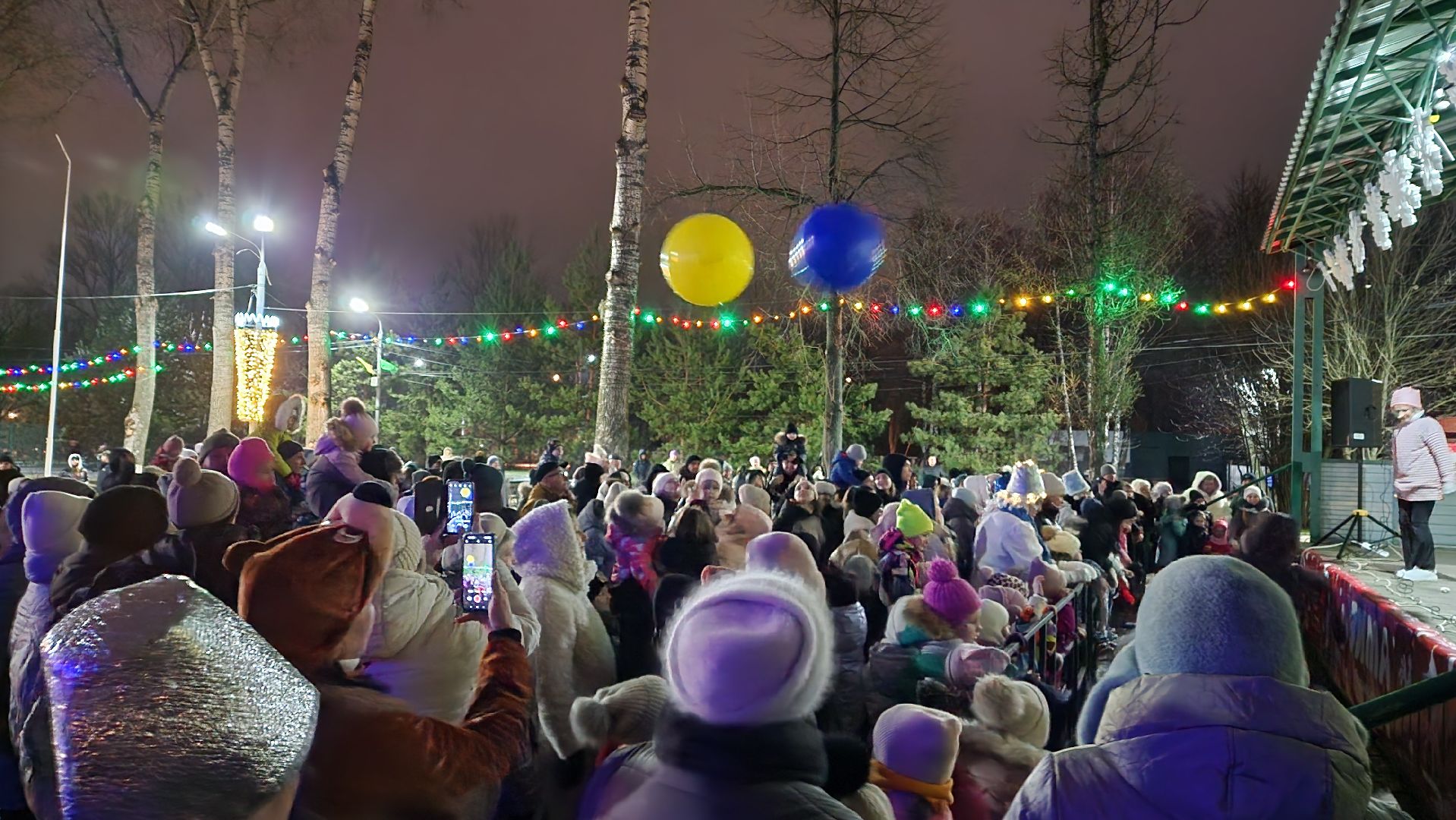 зима в подмосковье, ступино, парк михнево, вертикалки,