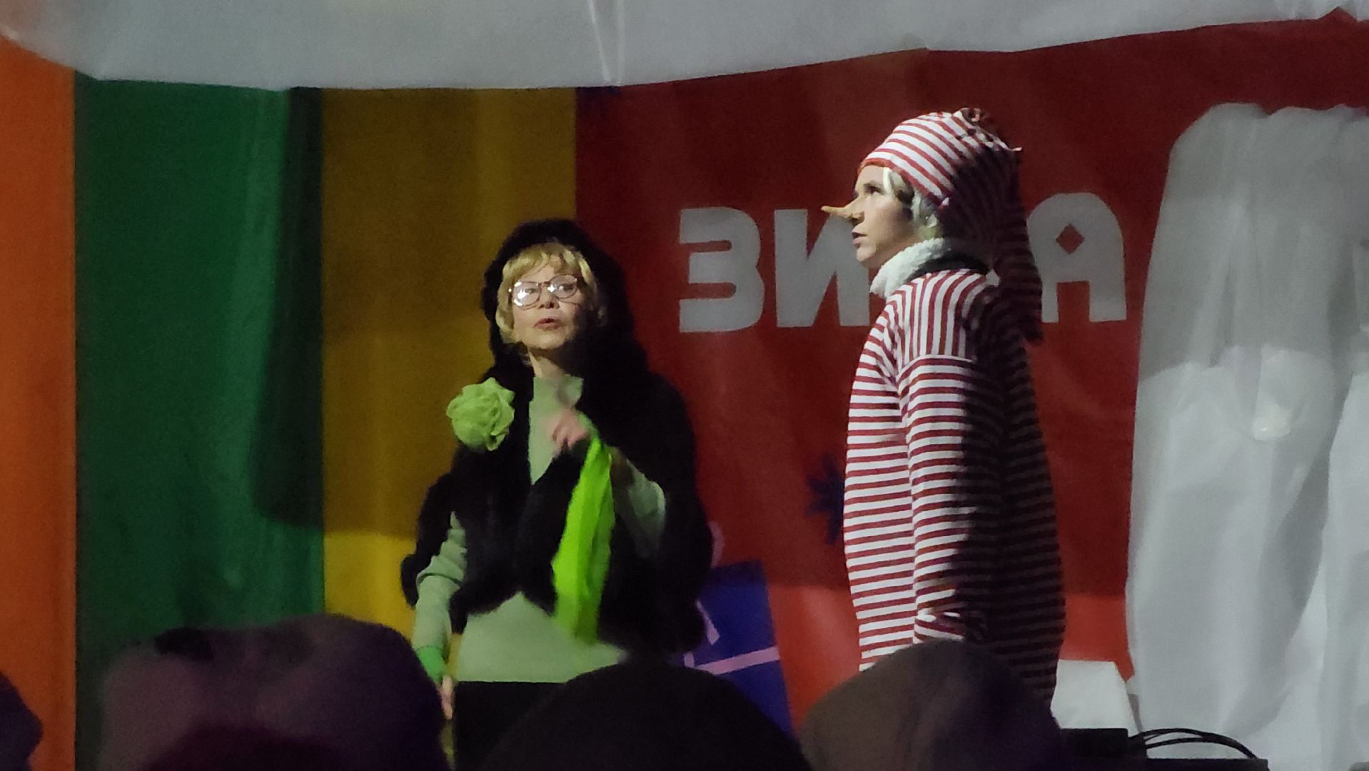 зима в подмосковье, ступино, парк михнево, вертикалки,