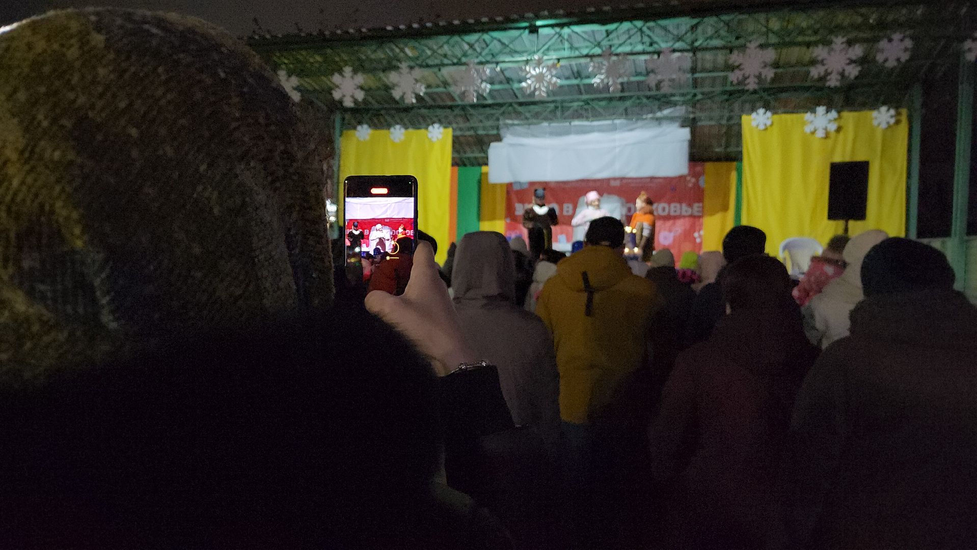 зима в подмосковье, ступино, парк михнево, вертикалки,