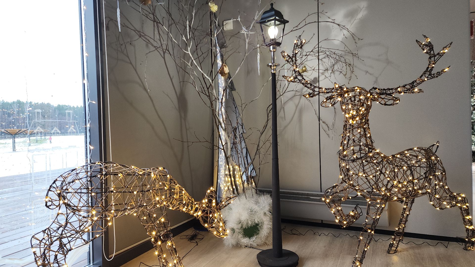 вертикалка, вертикаль, вертикали, вертикальное видео, электросталь, парк авангард, парки подмосковья, концерт,