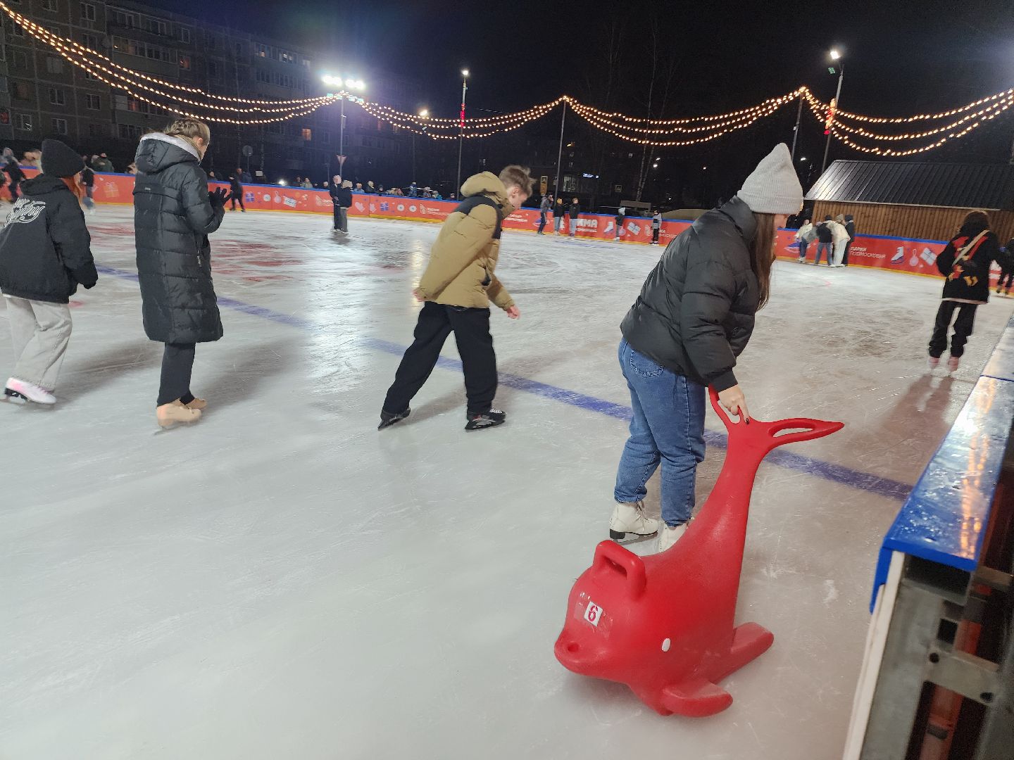 зима в подмосковье, Московская область, Егорьевск, Подмосковье, Каток, каток в парке,