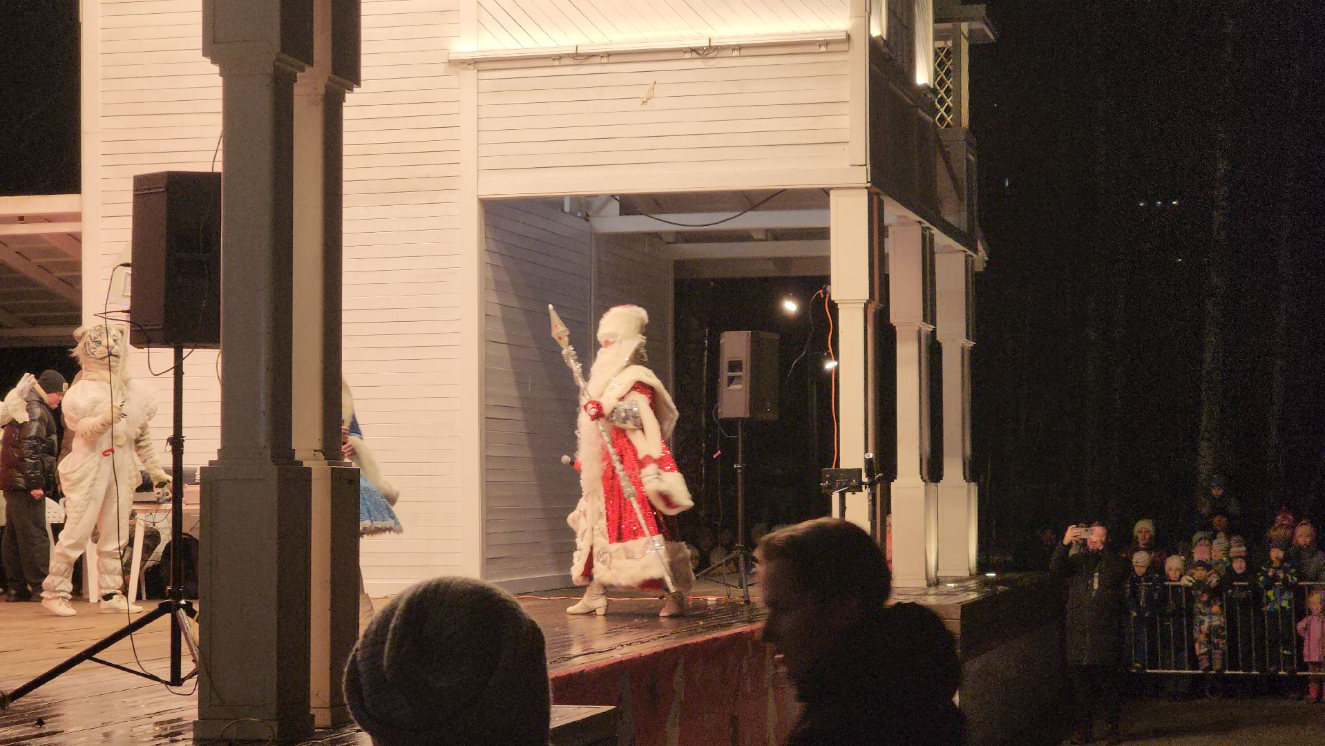 вертикалки, пушкино, дед мороз, новогодняя елка, дети, зажжение елки, зажжение огней на елке,