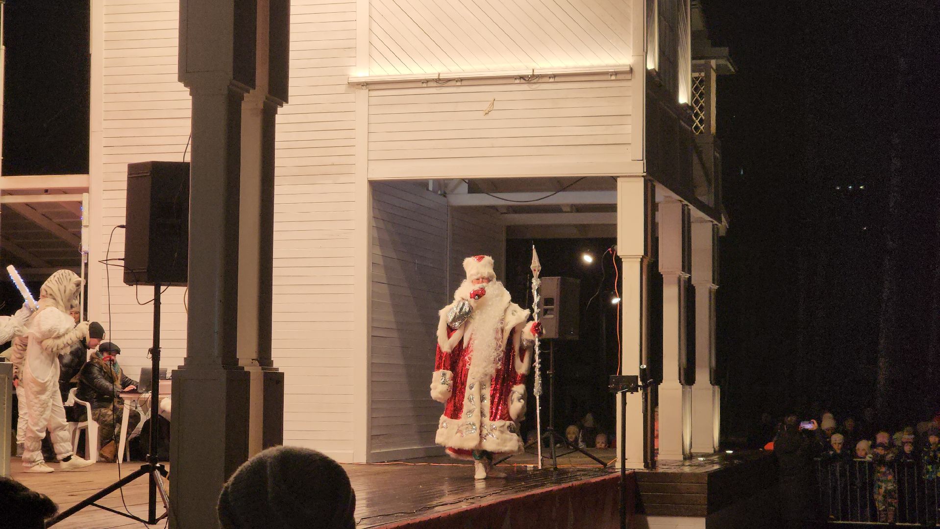 вертикалки, пушкино, дед мороз, новогодняя елка, дети, зажжение елки, зажжение огней на елке,