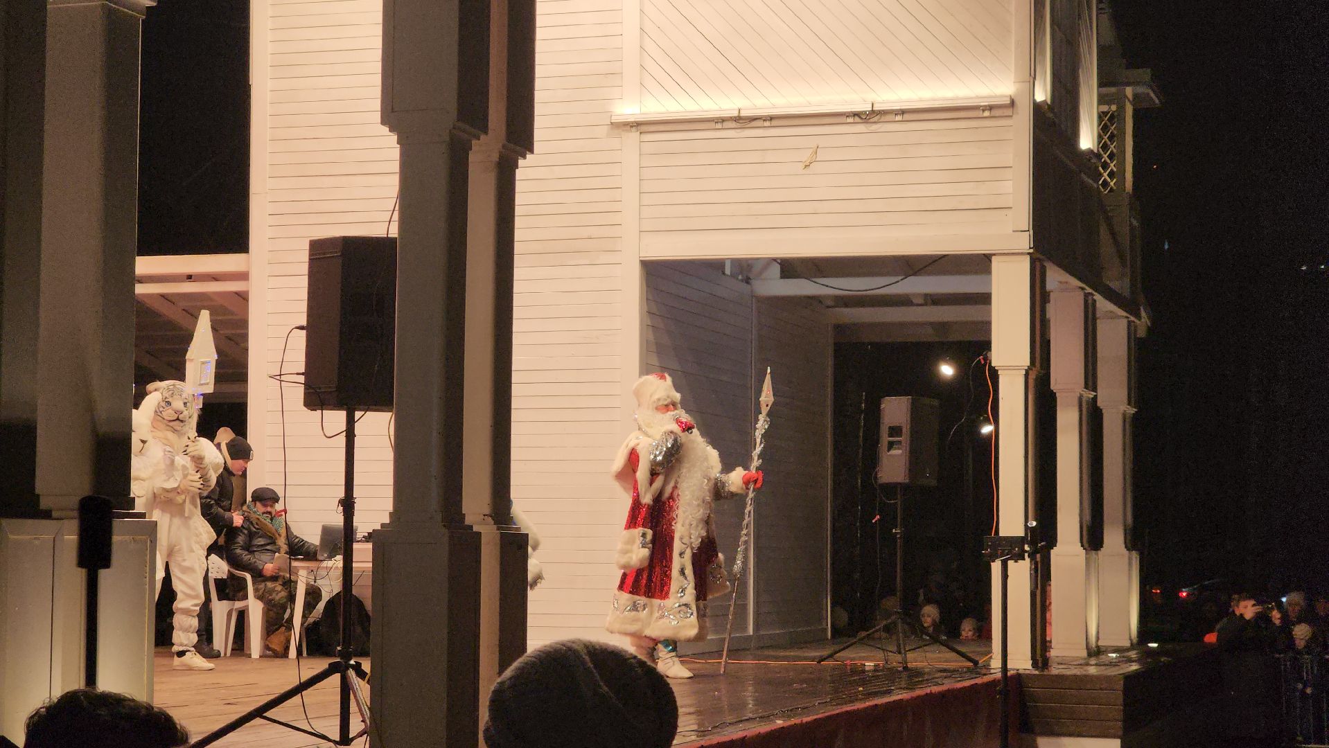 вертикалки, пушкино, дед мороз, новогодняя елка, дети, зажжение елки, зажжение огней на елке,