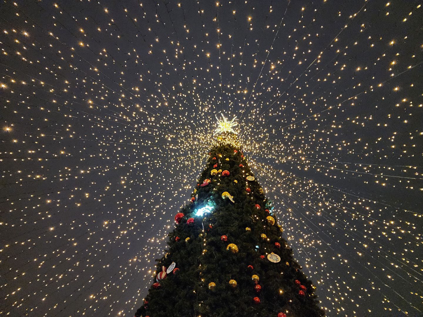 вертикалки, мытищи, ёлка,