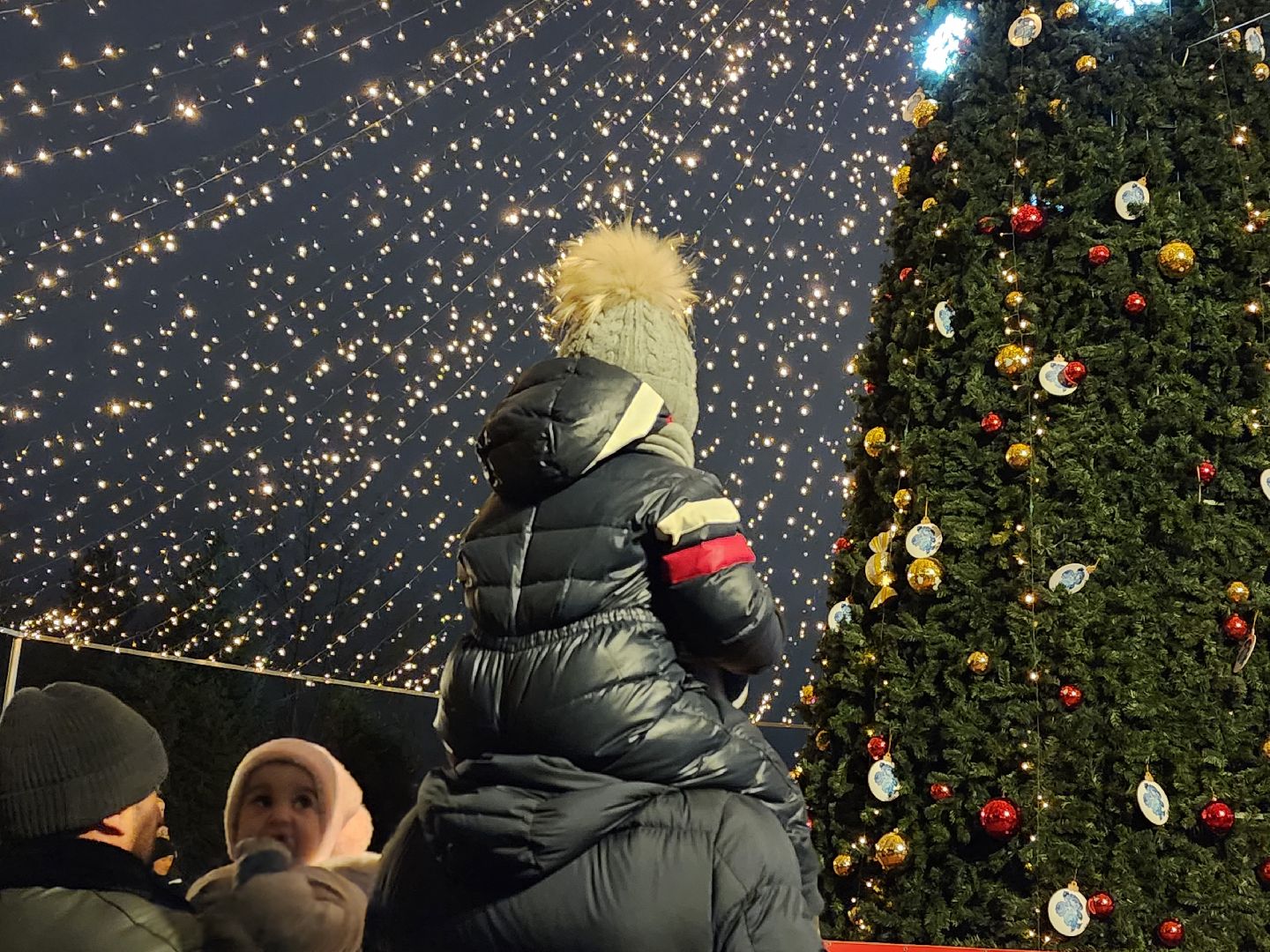 вертикалки, мытищи, ёлка,