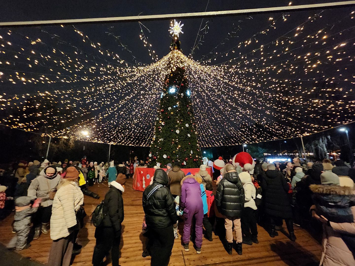 вертикалки, мытищи, ёлка,