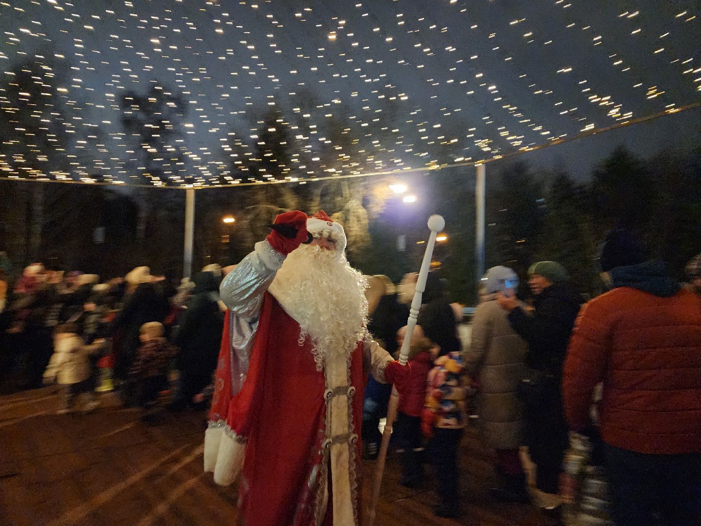 вертикалки, мытищи, ёлка,