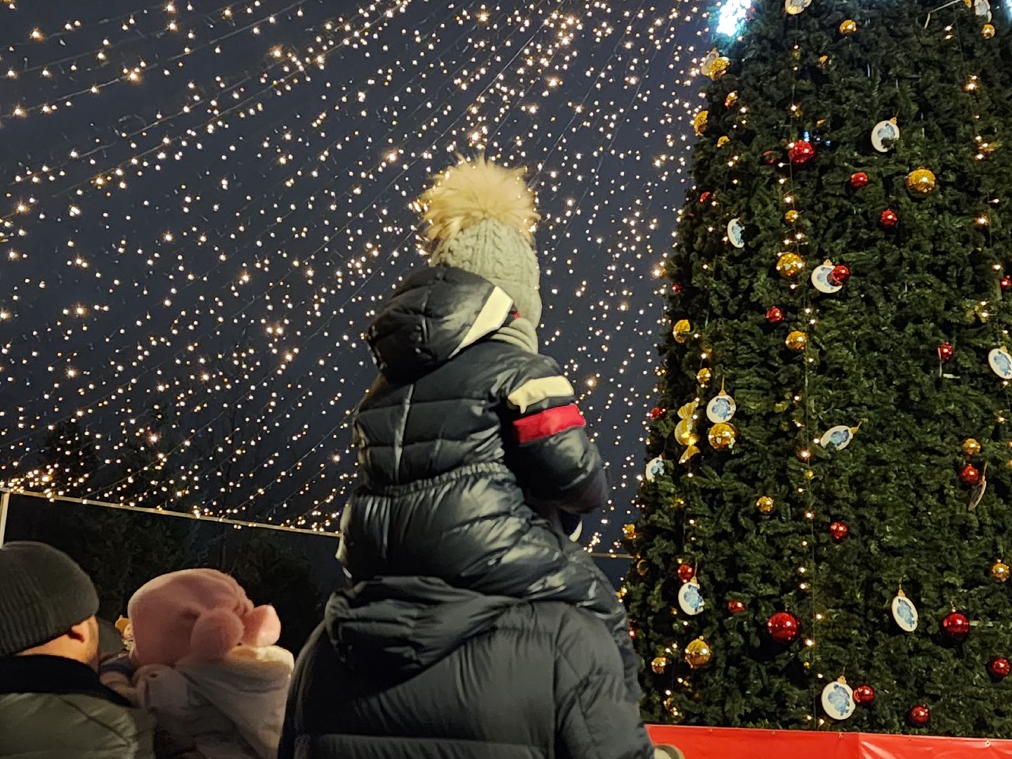 вертикалки, мытищи, ёлка,