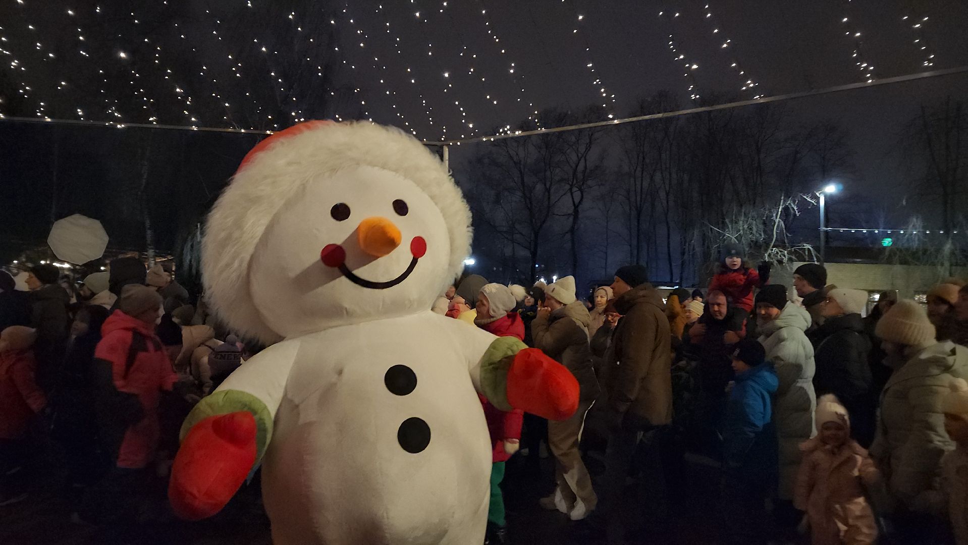 вертикалки, мытищи, ёлка,