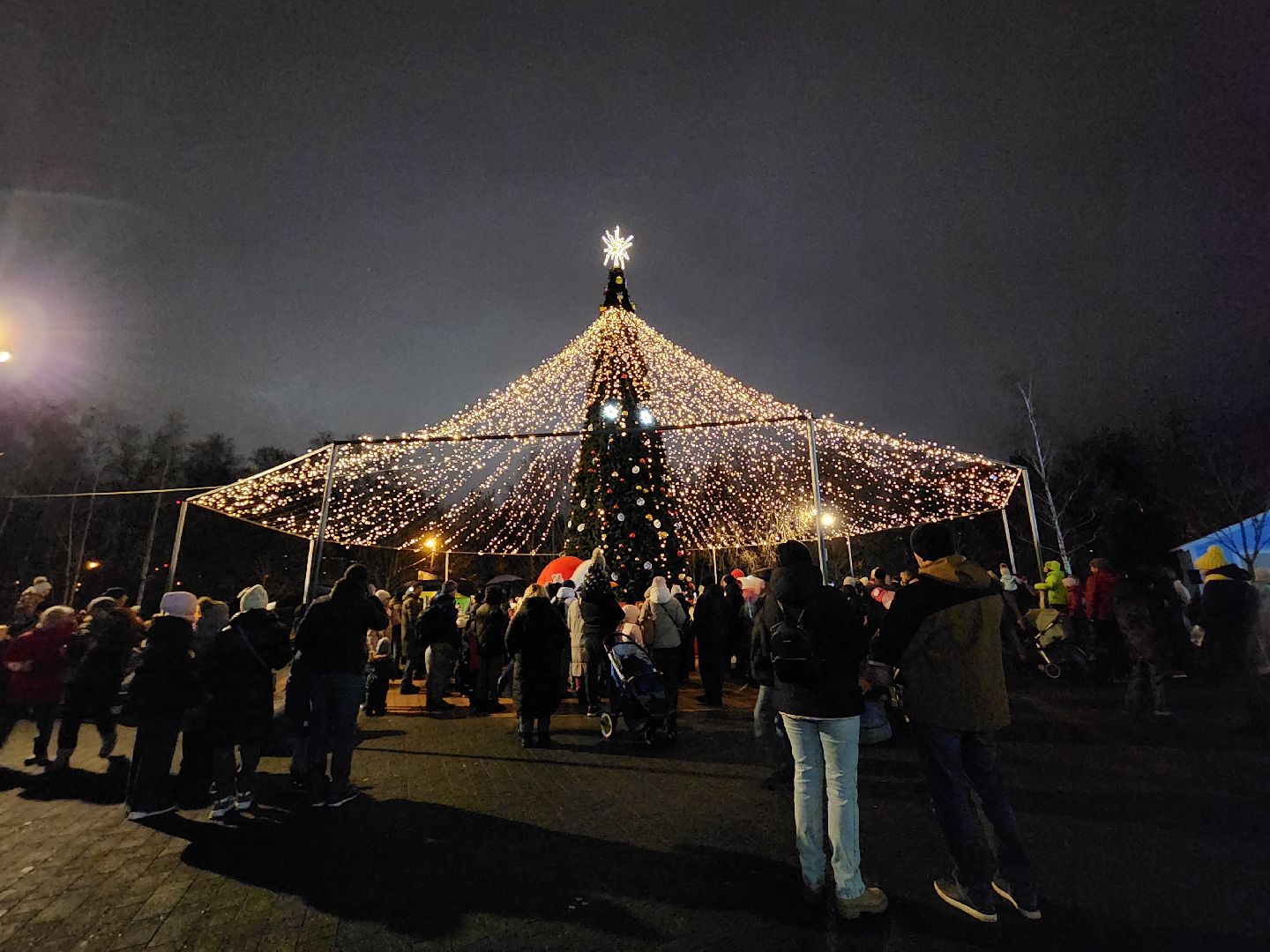 вертикалки, мытищи, ёлка,