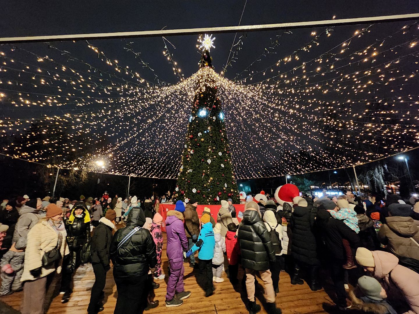 вертикалки, мытищи, ёлка,