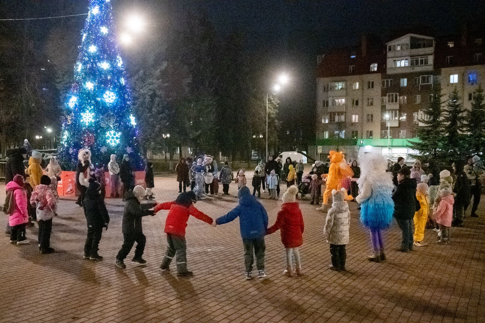 общество, лыткарино, открытие зимнего сезона, вертикалки,
