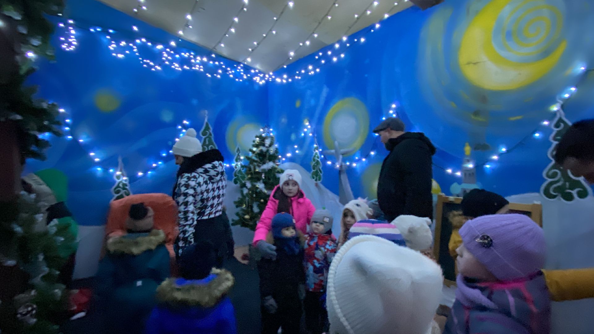 Мастер-класс, Елочные игрушки, Парк, Праздник, зима в подмосковье, вертикалки,