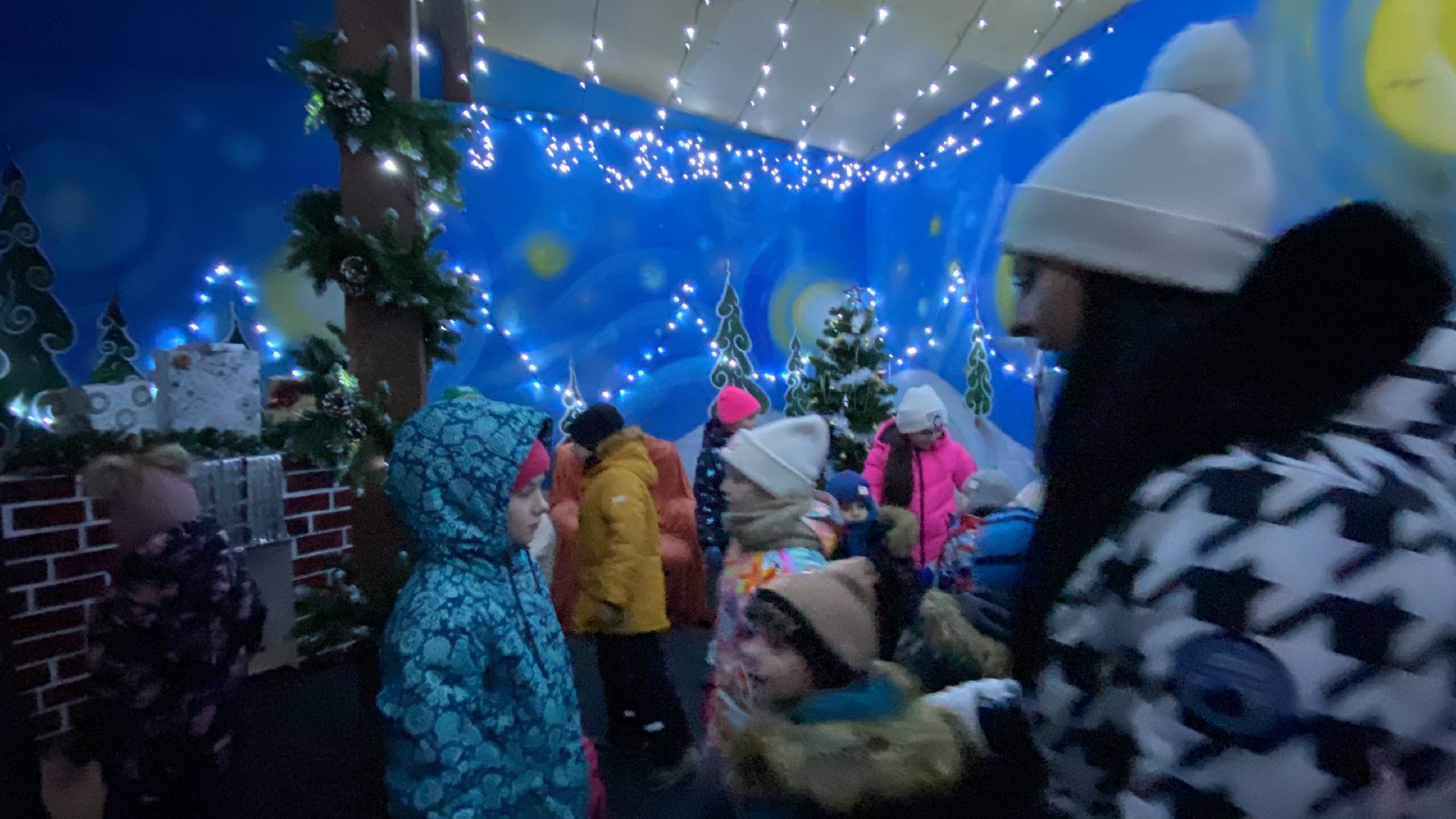 Мастер-класс, Елочные игрушки, Парк, Праздник, зима в подмосковье, вертикалки,