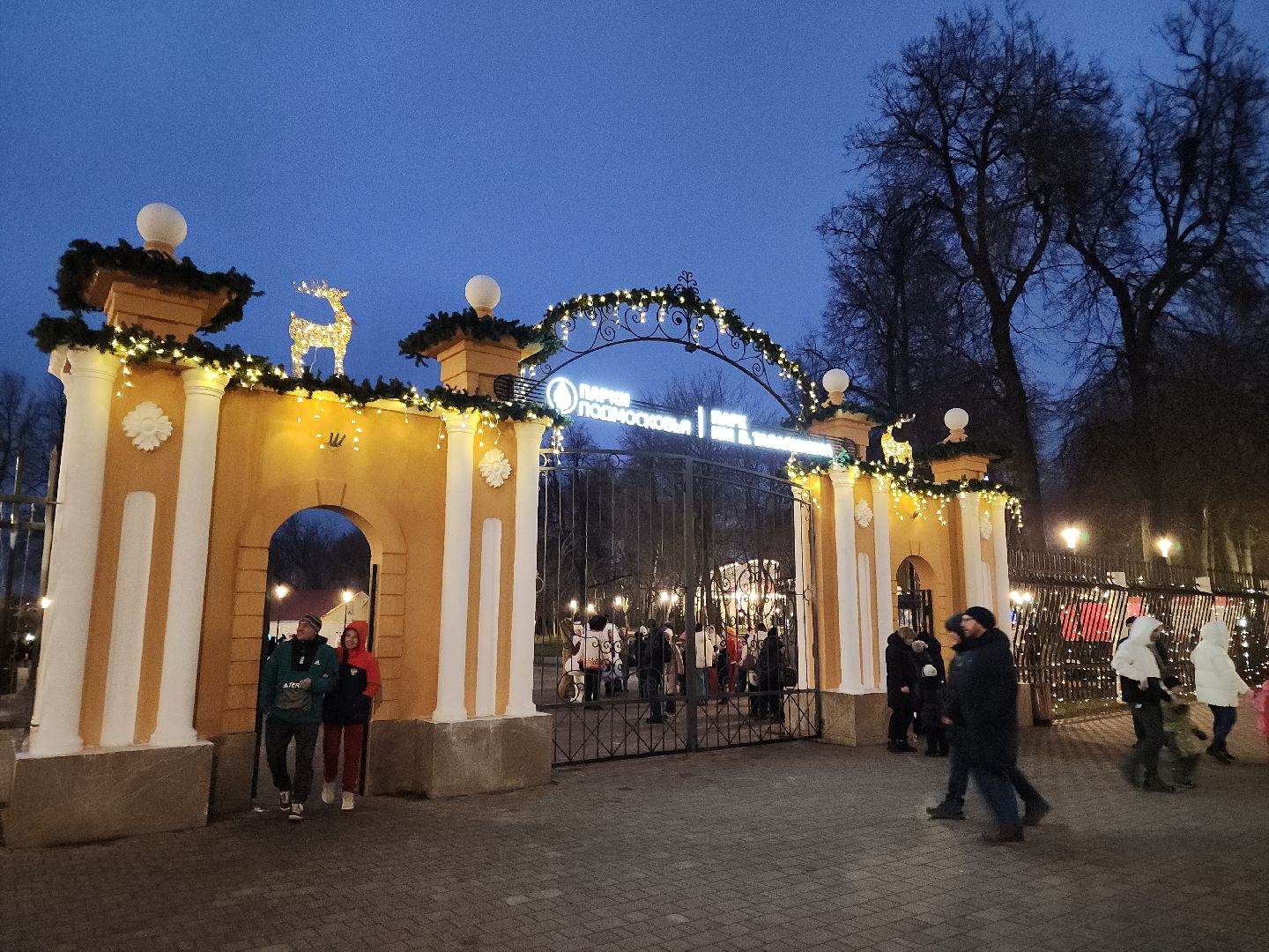 подольск, зажжение огней на елке, зима в подмосковье, вертикалка